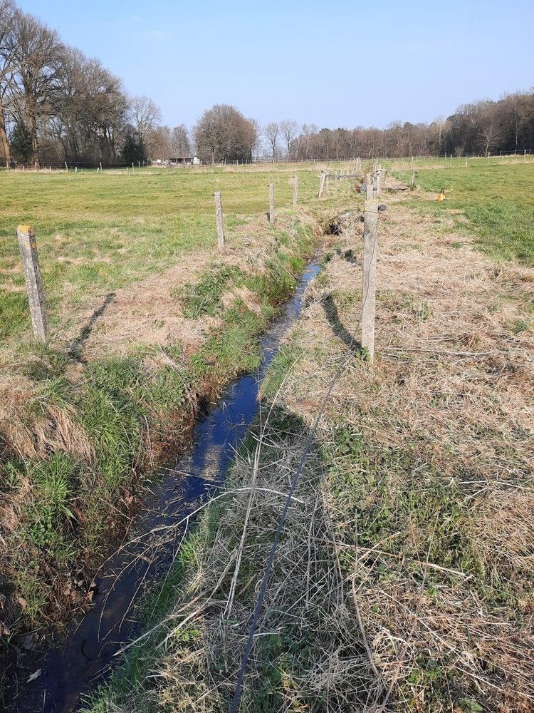 Mooie omheinde weide met schuilstallen te Helchteren foto 3