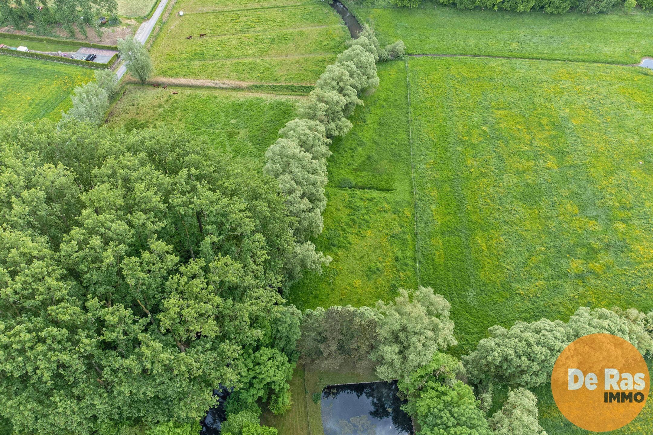 DENDERMONDE - Charmante woning midden in het groen!  foto 30