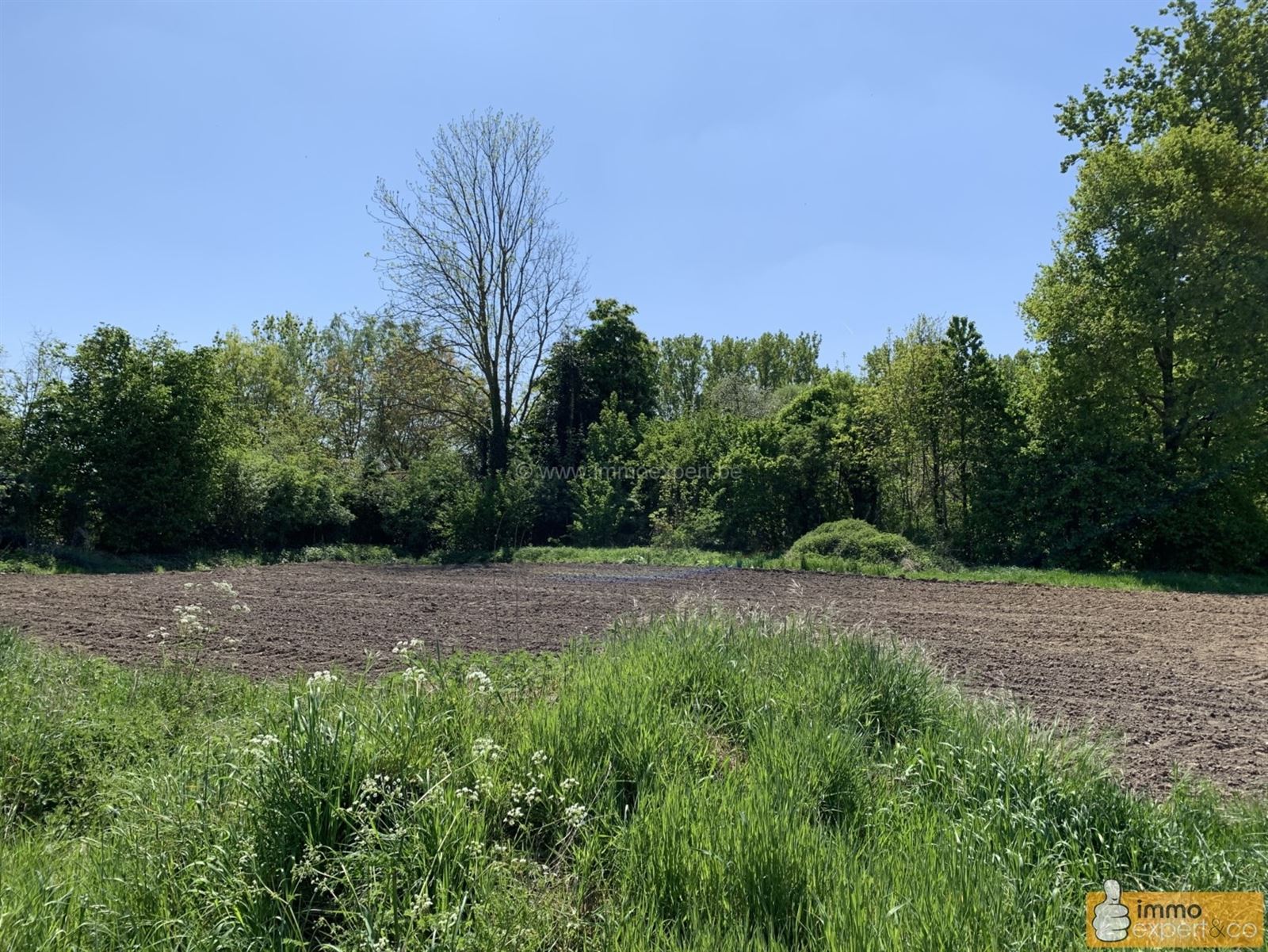 Pajottegem: Unieke hoeve met bijgebouwen en tuin foto 18