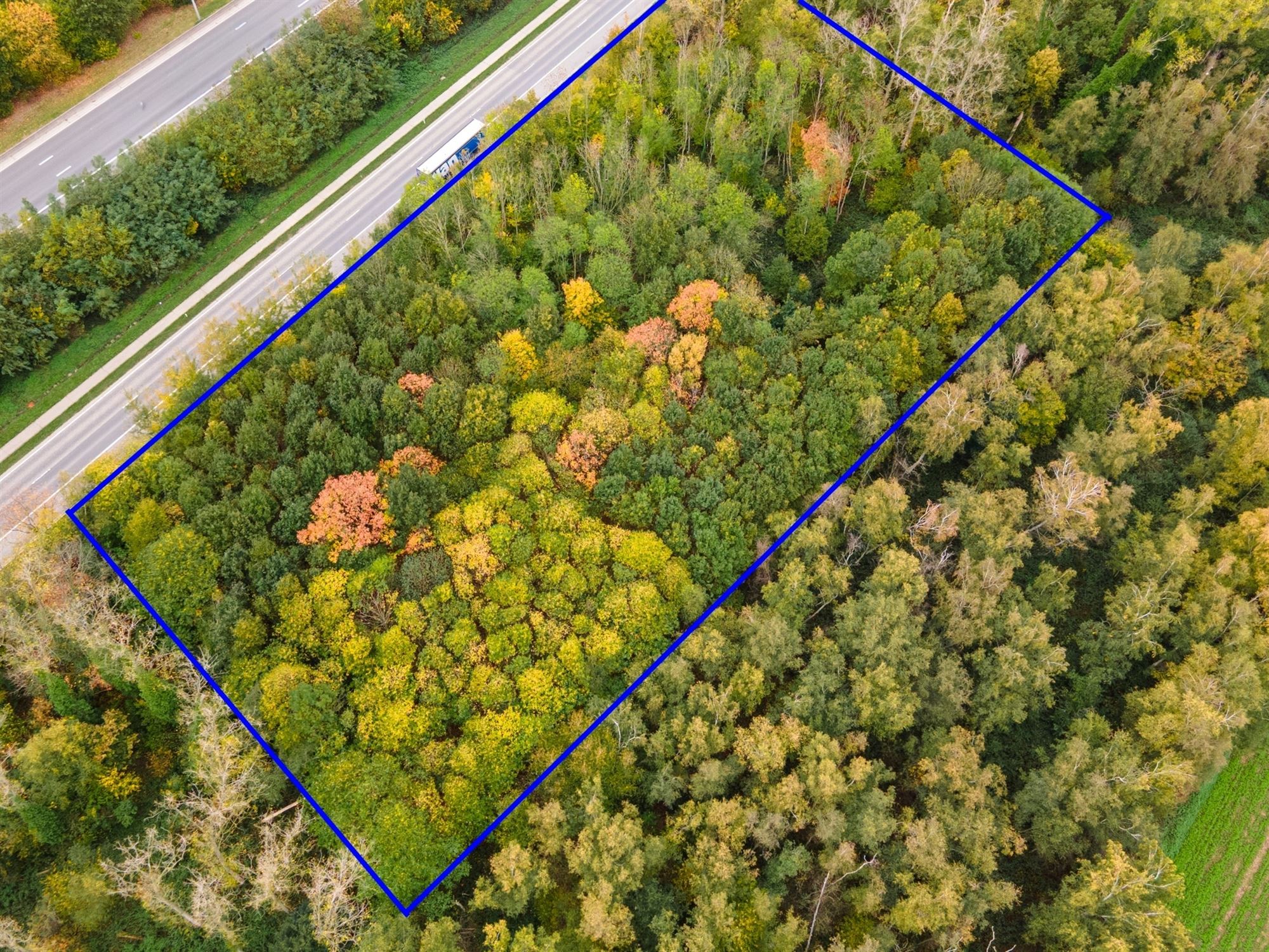 Prachtig perceel met bomen te Mechelen foto 3