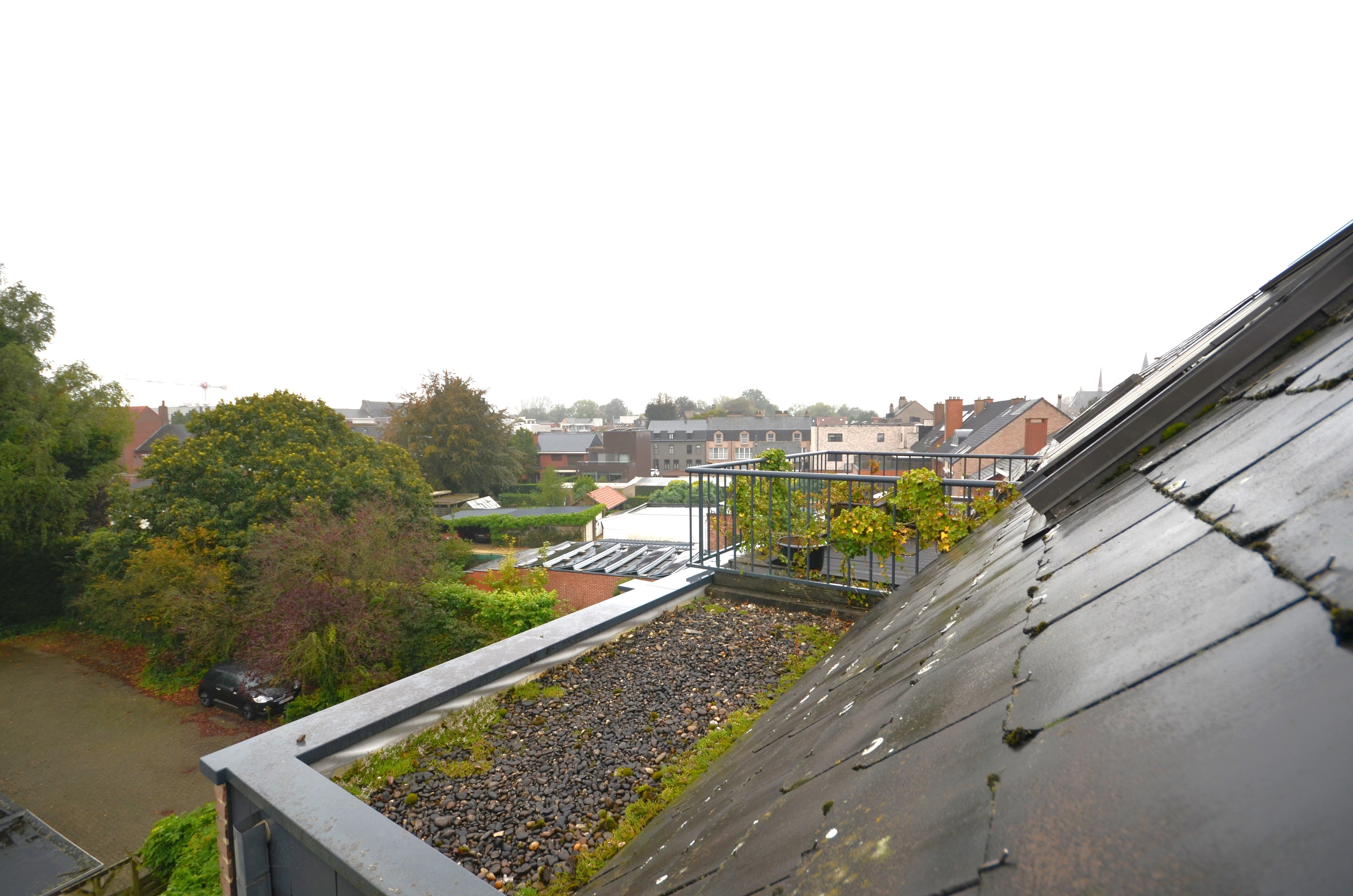 DAKAPPARTEMENT MET 1 SLAAPKAMER, FIJNE WOONKAMER EN AUTOSTAANPLAATS foto 17