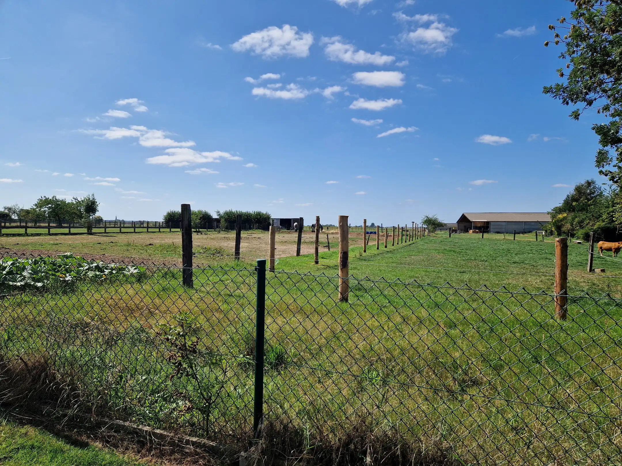 Renovatieproject...en wat voor eentje... foto 25