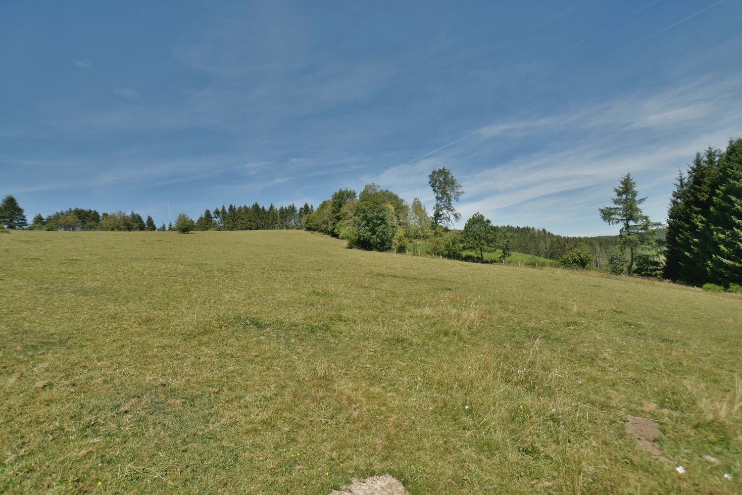 Domein van bijna 6 ha met een charmant landhuis en multifunctioneel vrijstaand bijgebouw op een idyllische, natuurrijke locatie te Amel foto 38