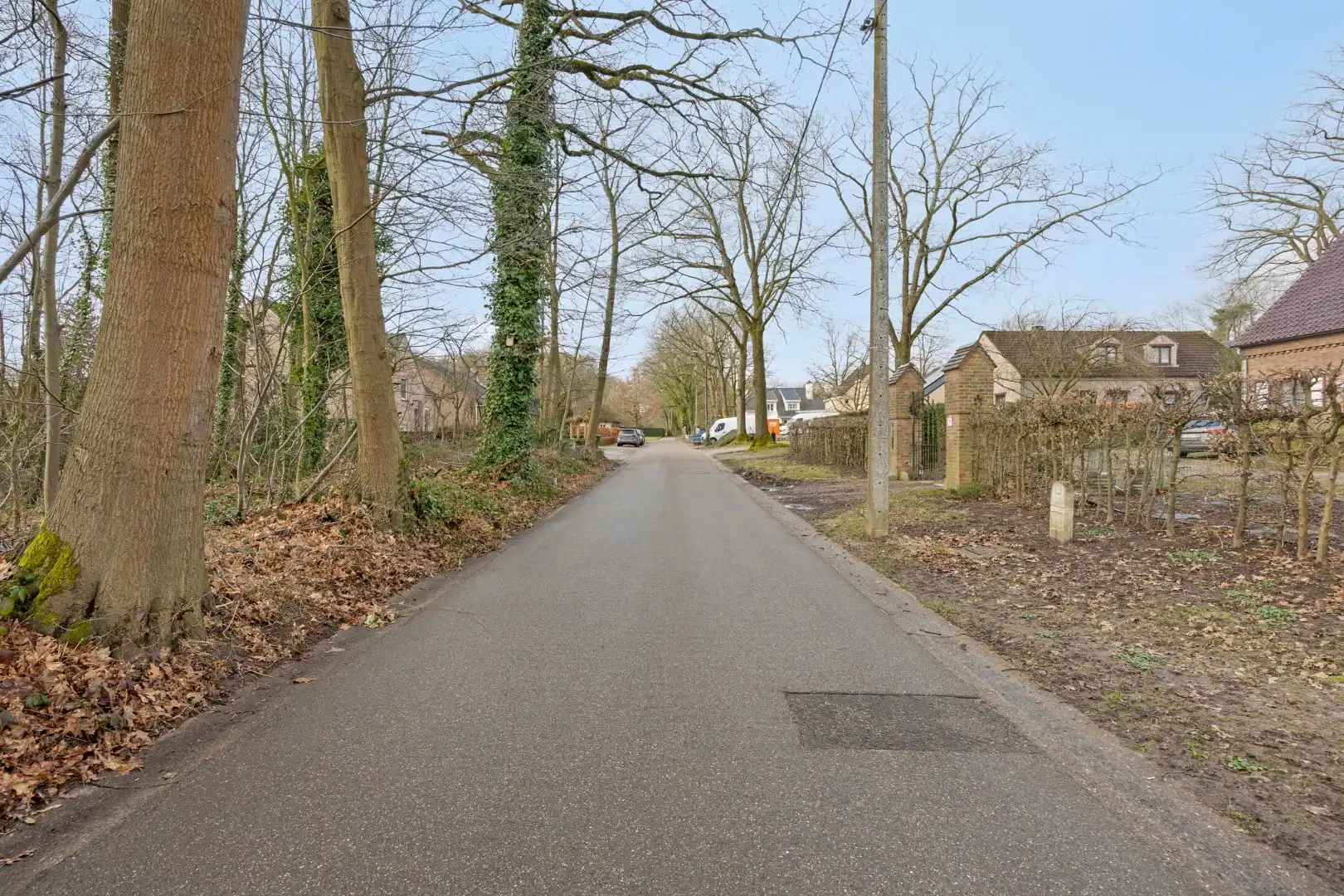 2 BOUWGRONDEN VOOR OPEN BEBOUWING EN ACHTERLIGGENDE GRONDEN in de bosrijke villabuurt op de Bosstraat te Lanaken!  foto 7