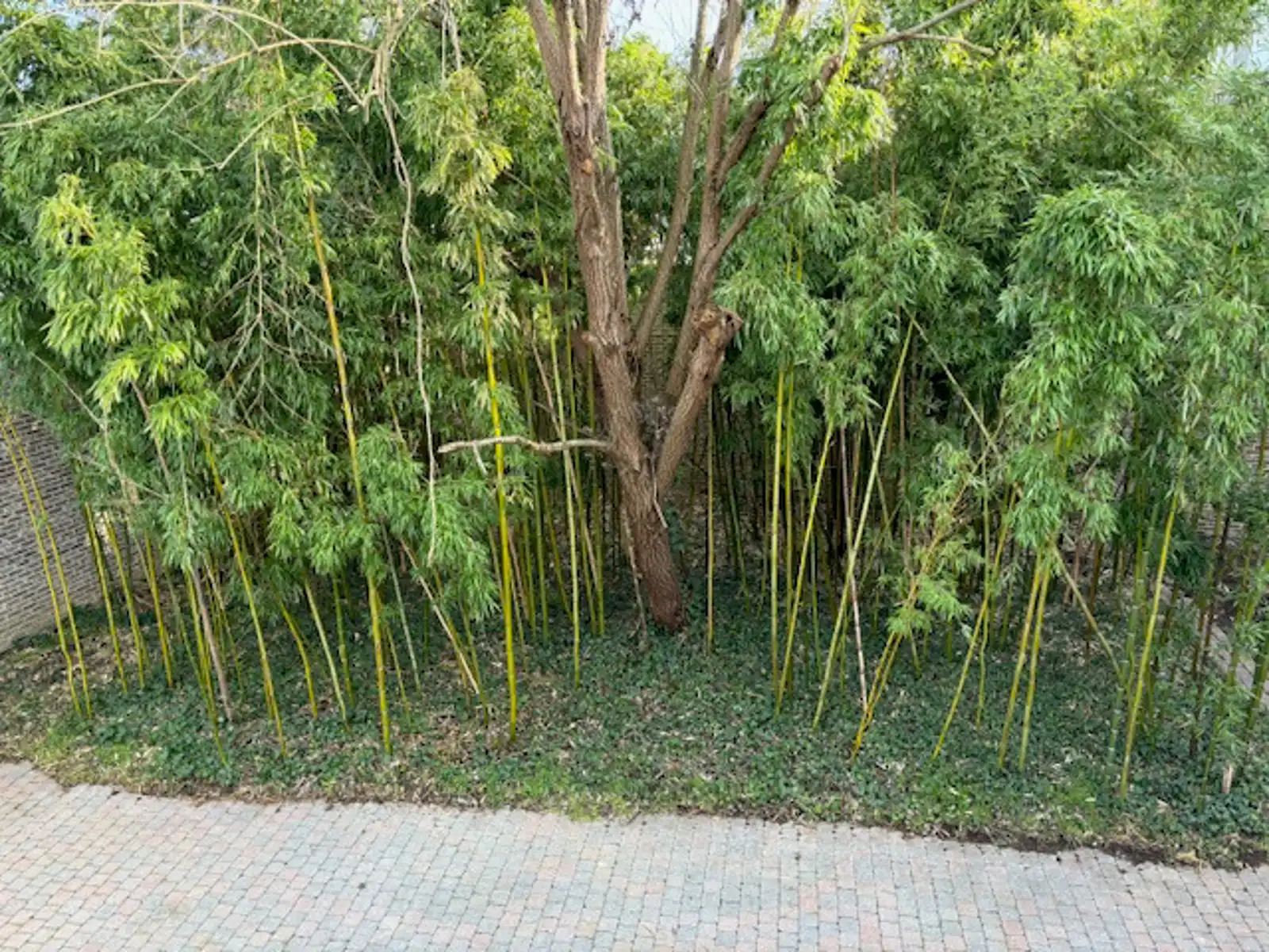 Herenwoning met inrijpoort te Tienen foto 28