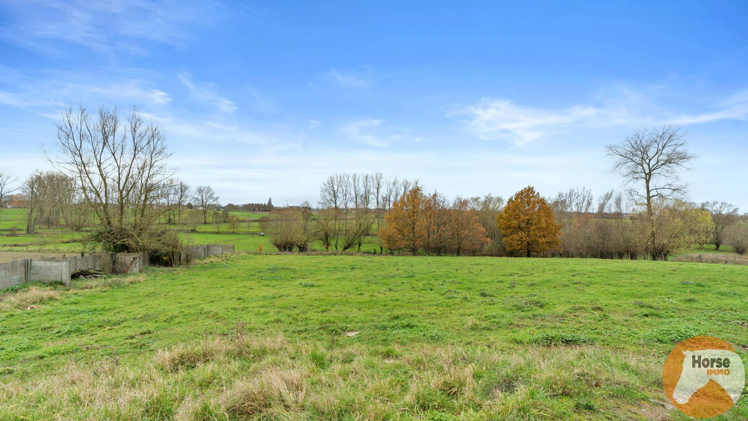 LIERDE - Hoeve met uniek uitzicht op +/-55are foto 12