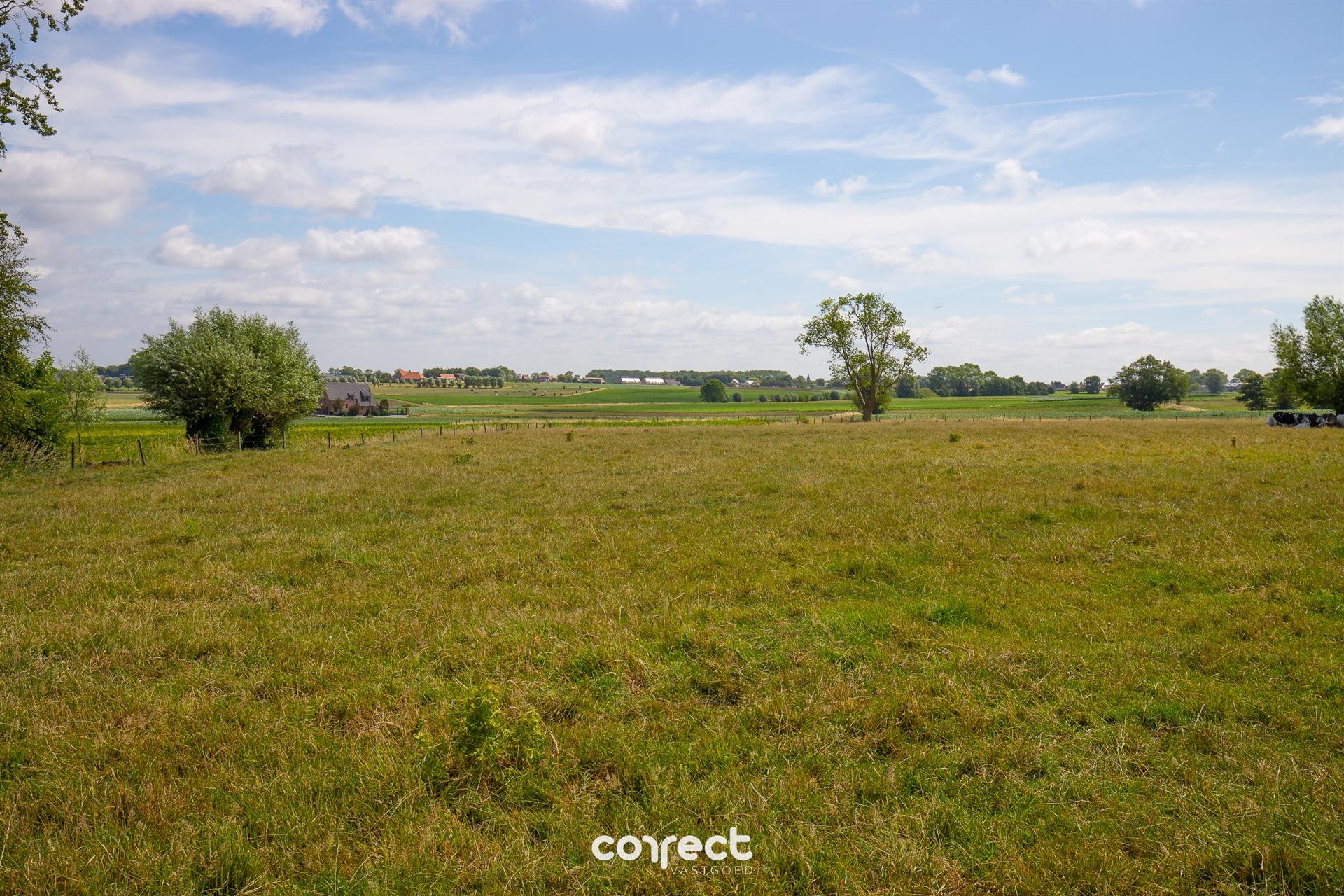 Huis foto 10