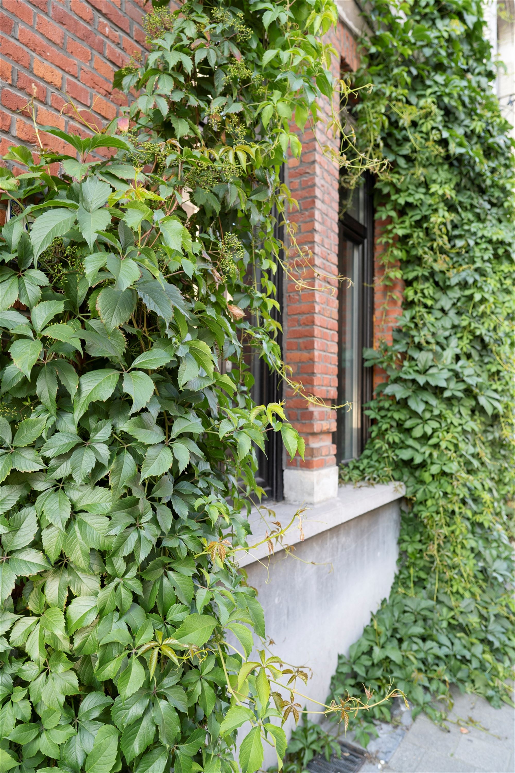 Karaktervolle stadswoning met zicht op het PAKT foto 31