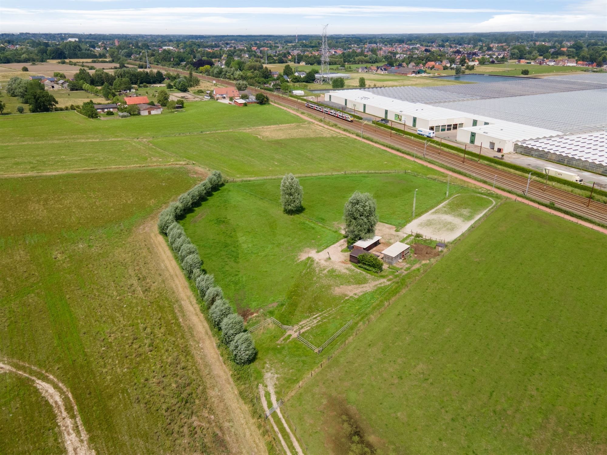 Prachtige paardenweide met stallen en piste foto 4