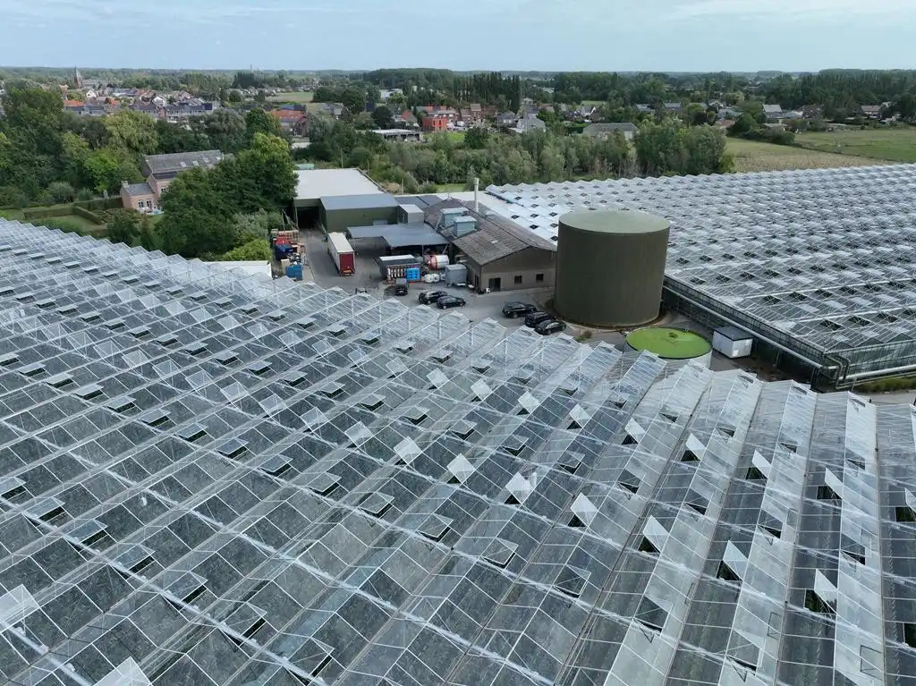Modern en volledig uitgerust serrebedrijf op 5,65 ha te Lier foto 6