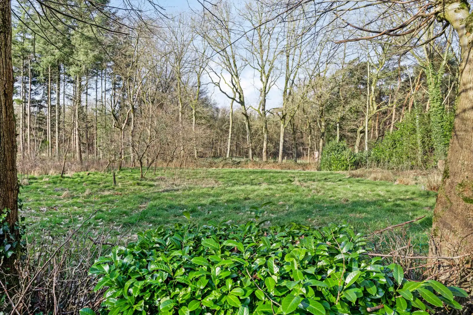 Unieke woonst op 13 hectare: rust, natuur en eindeloze mogelijkheden! foto 9