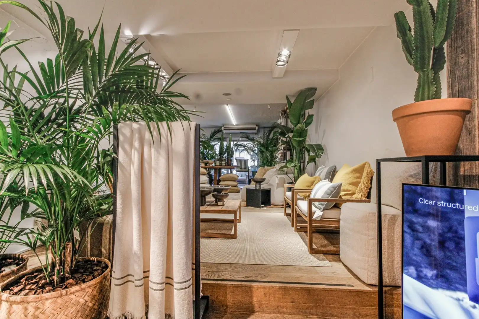 Verhuurde winkel te koop Zeedijk Zoute Knokke foto 3