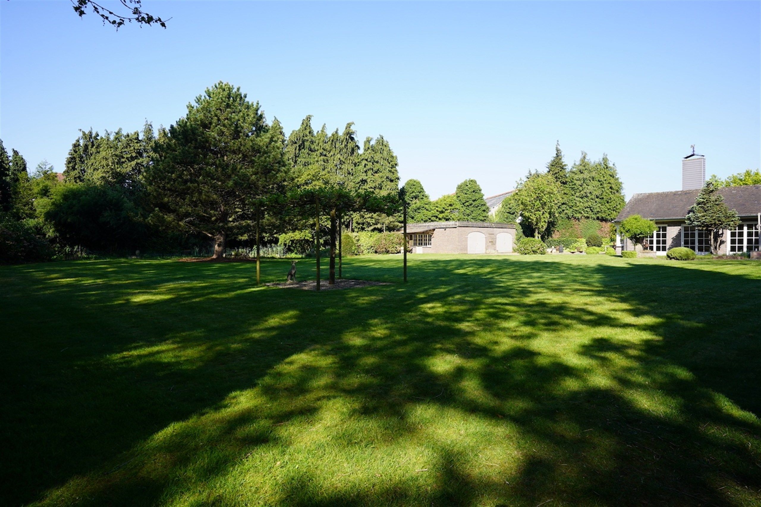 Opportuniteit! Eigendom op 1 Ha met buitengewone privileges foto 5