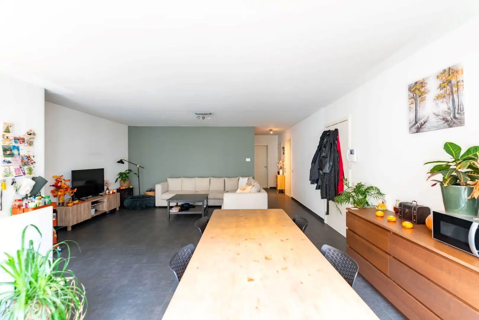 Ruim appartement met 3 slk en terras aan het nieuwe Zuidpark!  foto 11