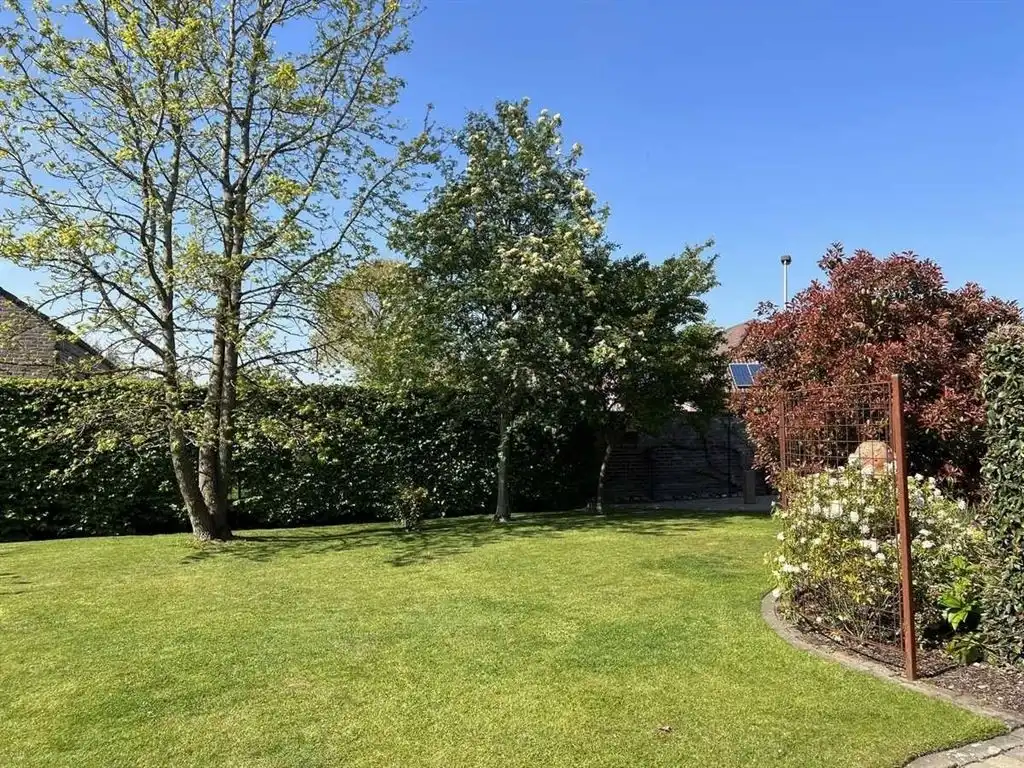 Energiezuinige langgevelhoeve op een uniek perceel vlakbij Maaseik foto 5