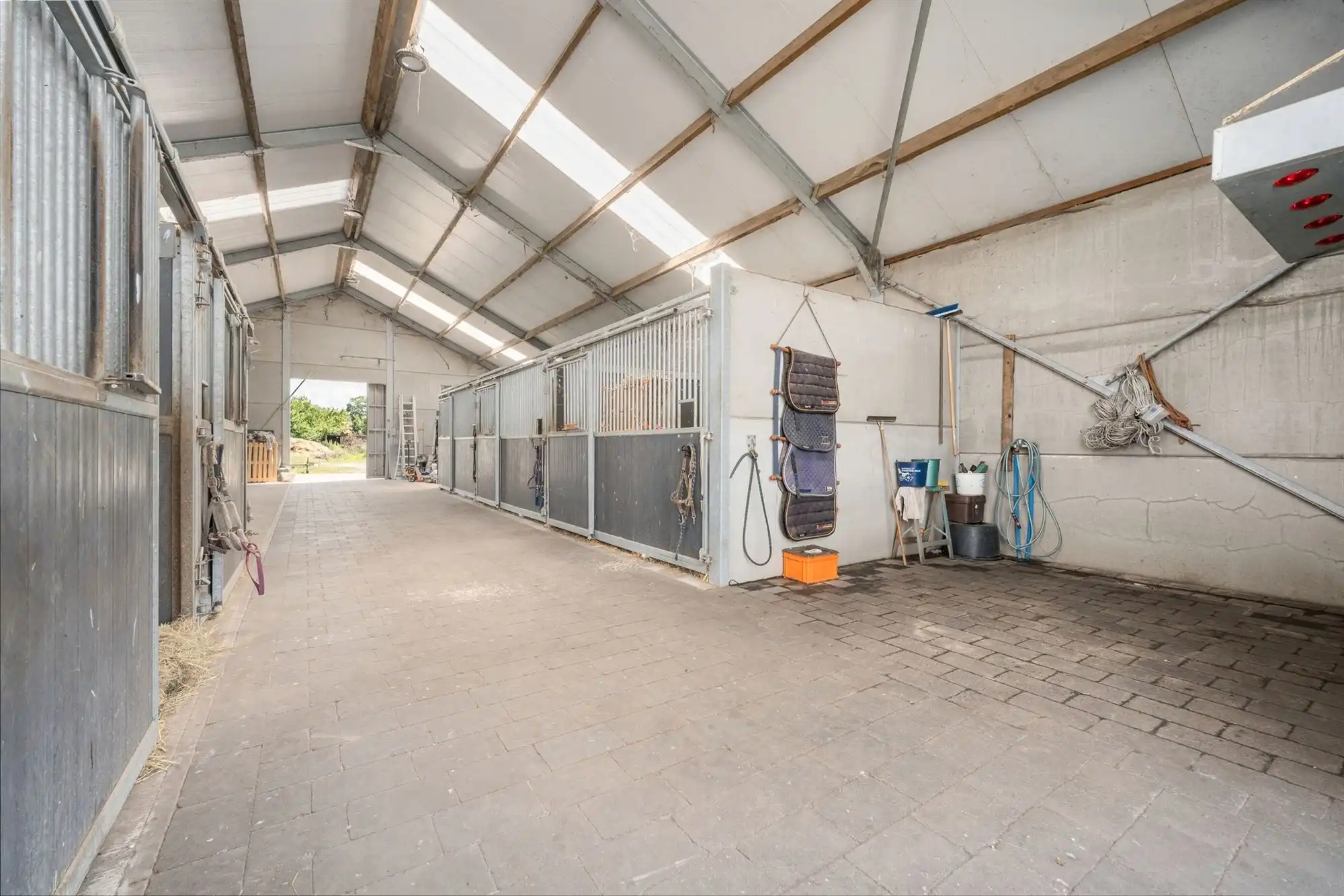Unieke eigendom van 14.139m² voor paarden- of dierenliefhebbers of wie droomt van ruimte  foto 17