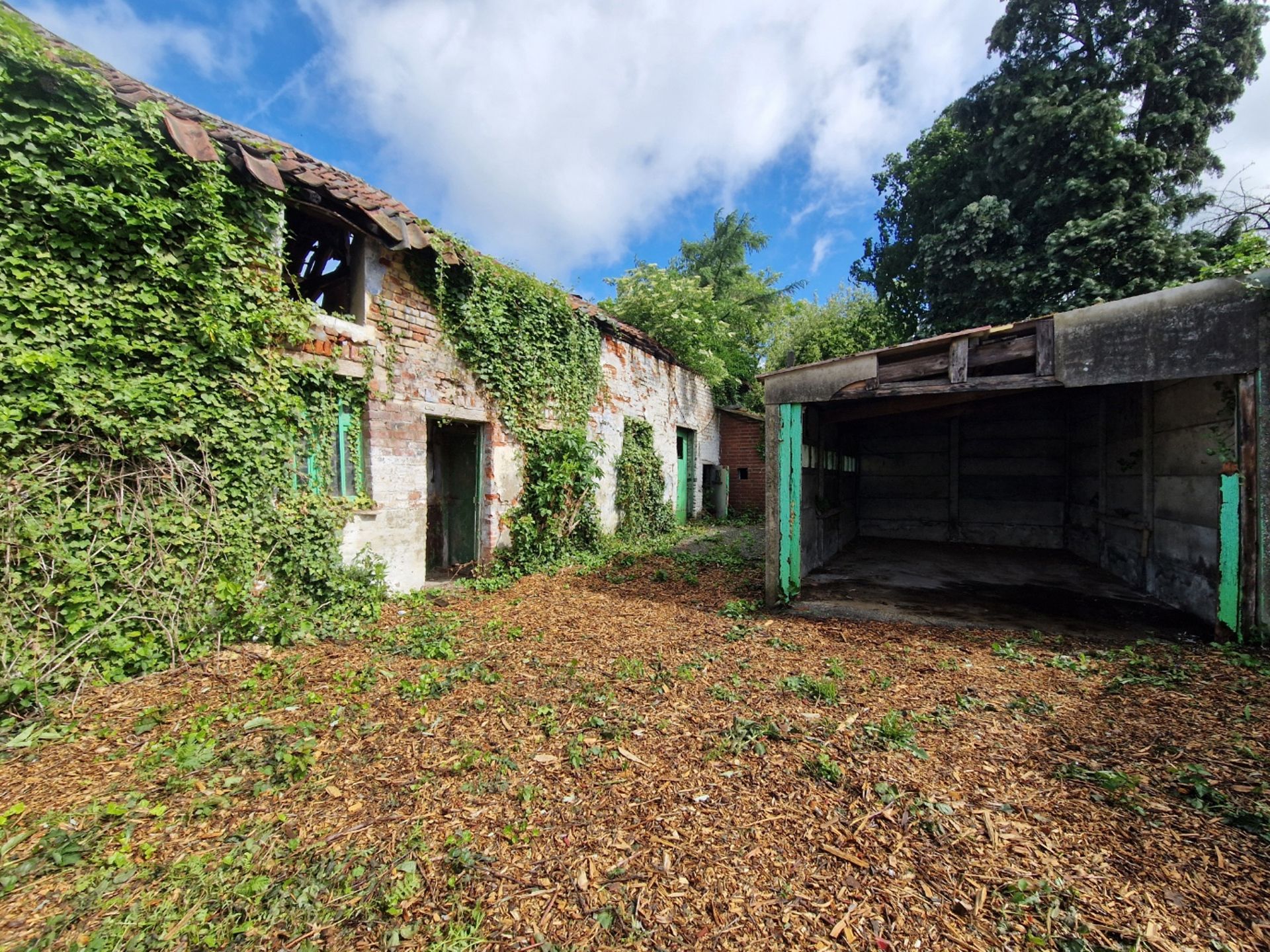 Te renoveren woning op rustige ligging te Bierbeek foto 14