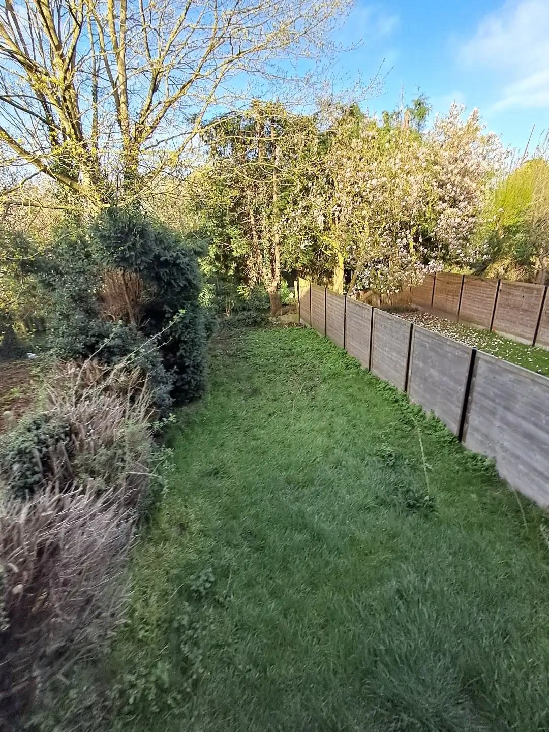 Appartement met tuin nabij Brugge. foto 17