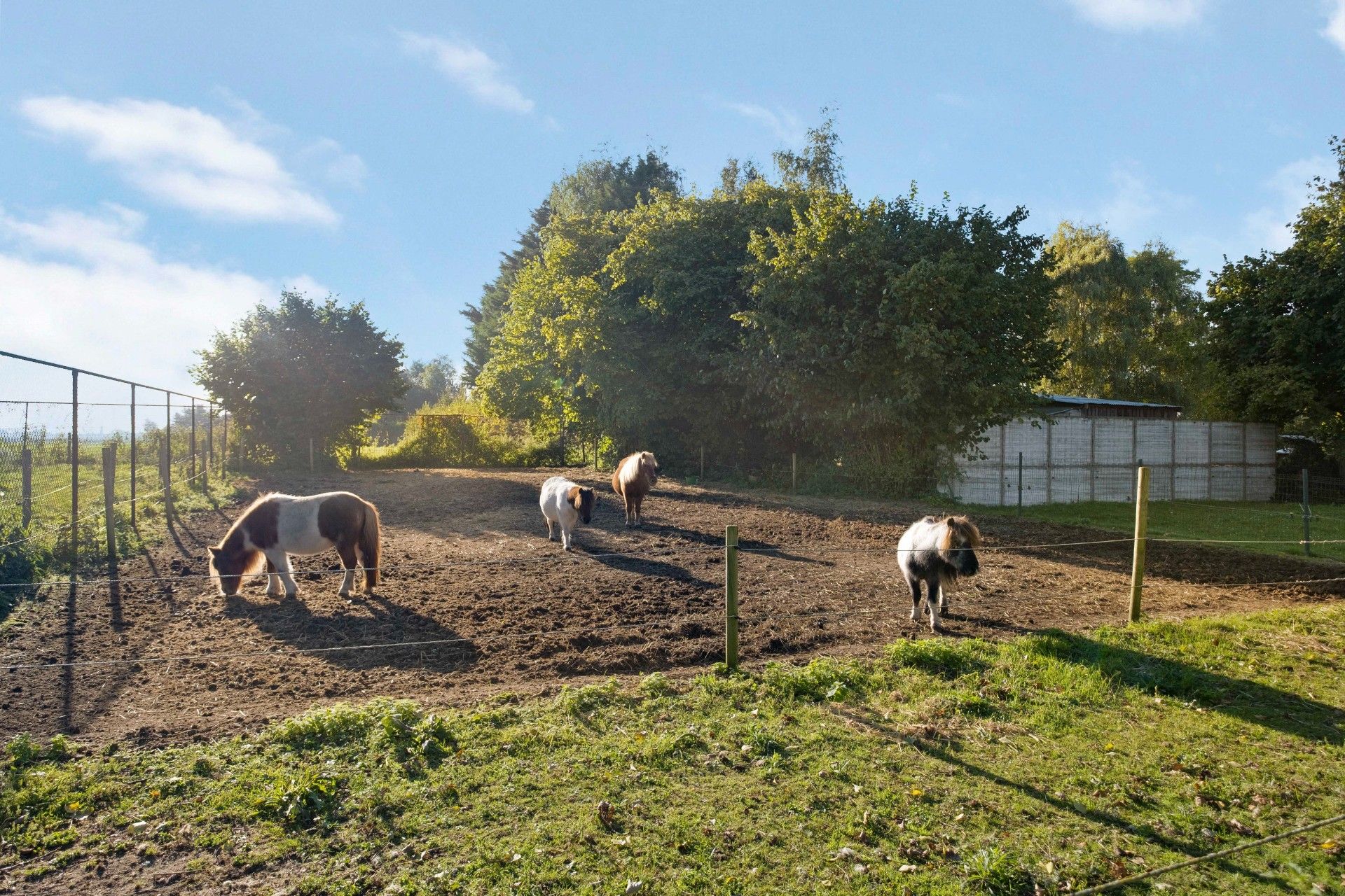Karaktervolle burgerwoning met idyllische tuin te Pottes! foto 15