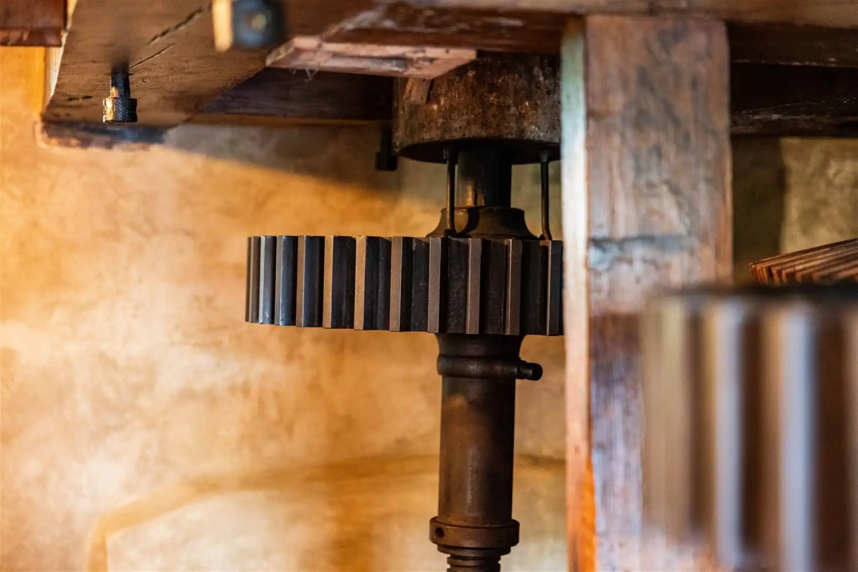 Uniek eigendom te koop: de Zwadderkotmolen. foto 17