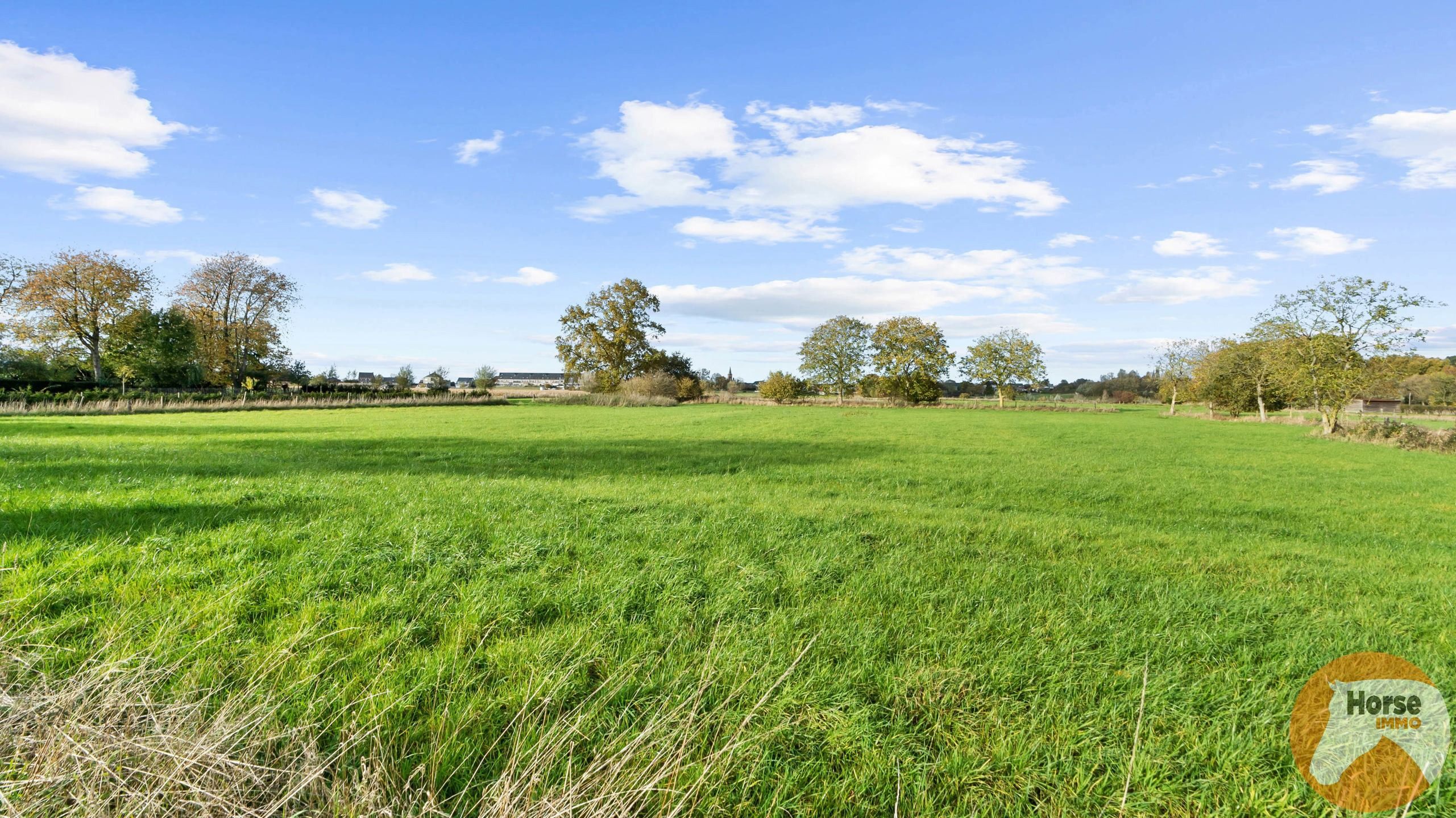 ASSE - Te renoveren hoeve met ruime schuur op 1,85 ha foto 13