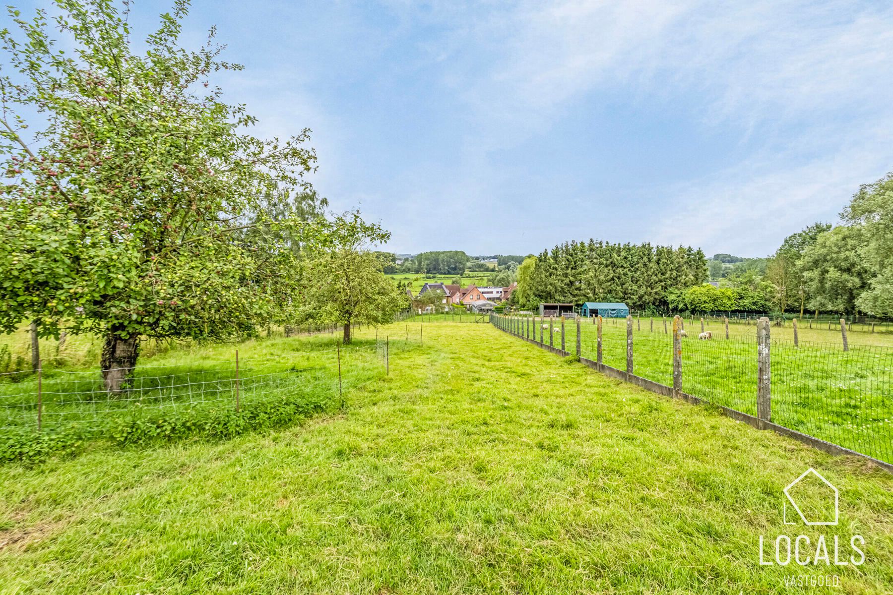 Te renoveren woning met prachtig verzicht in Pollare foto 2