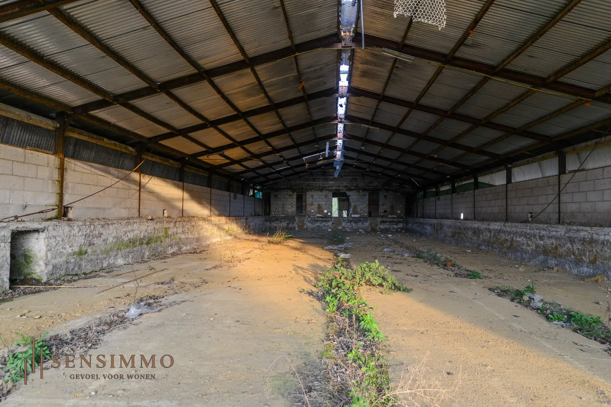 Interessante investeringsopportuniteit: te renoveren loods op strategische ligging foto 13