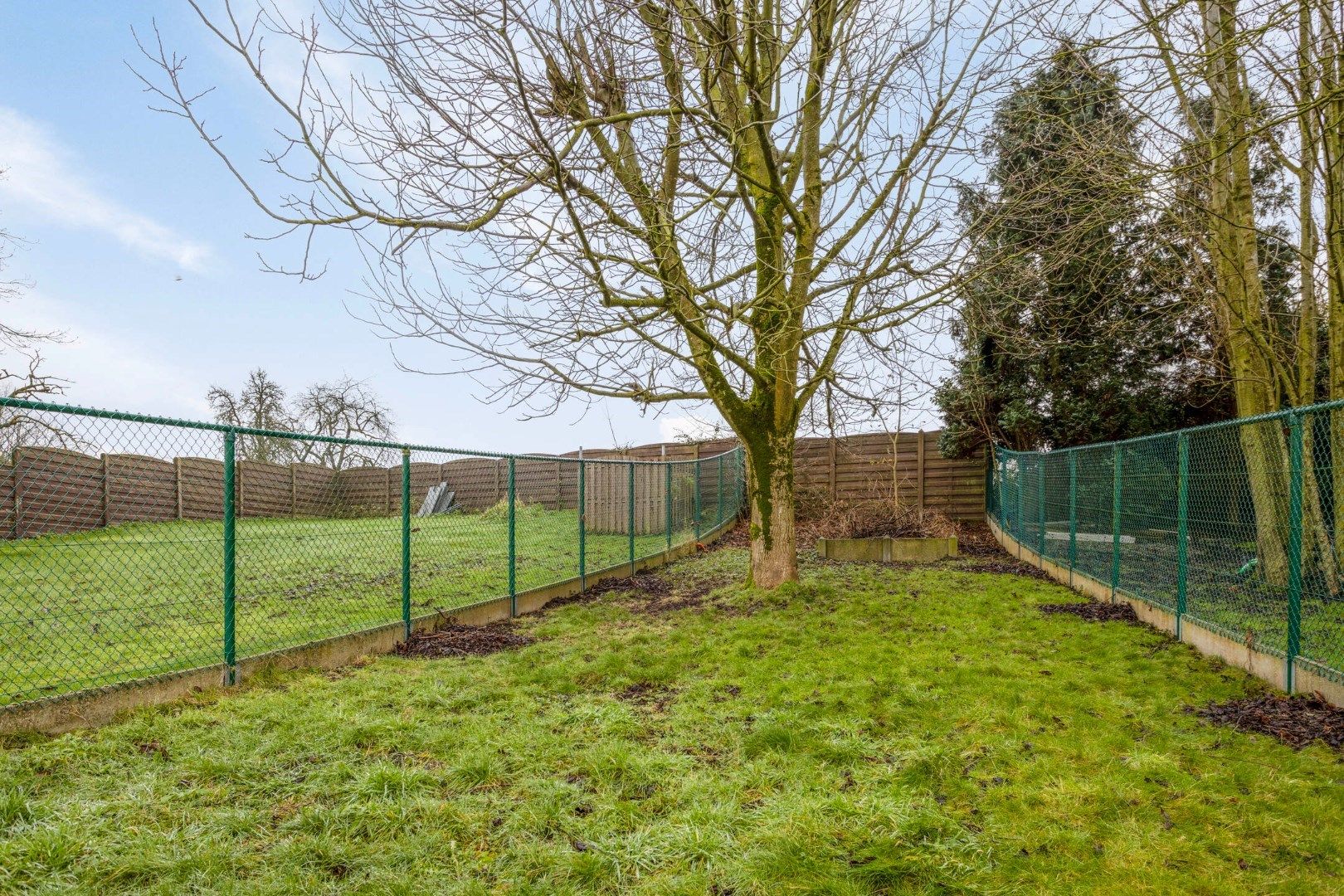Verrassend ruime woning met knap terras en diepe tuin foto 28