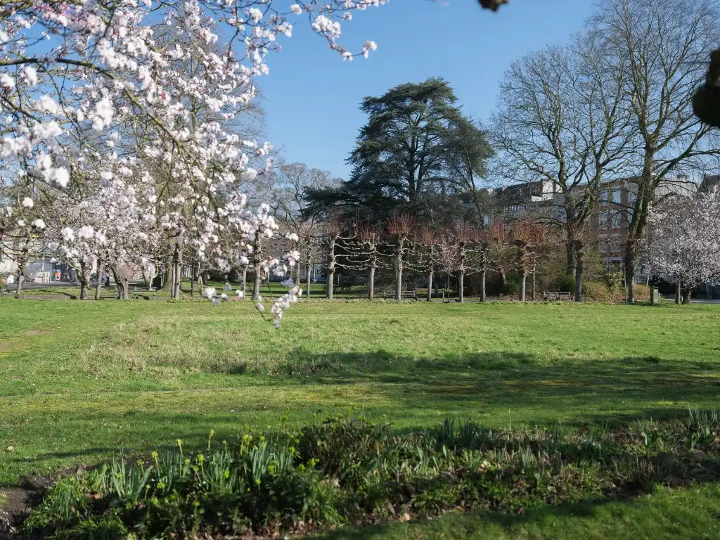 Zeldzaam aanbod - 9 studio’s en 1 appartement op een strategische ligging nabij het befaamde Miljoenenkwartier. foto 15