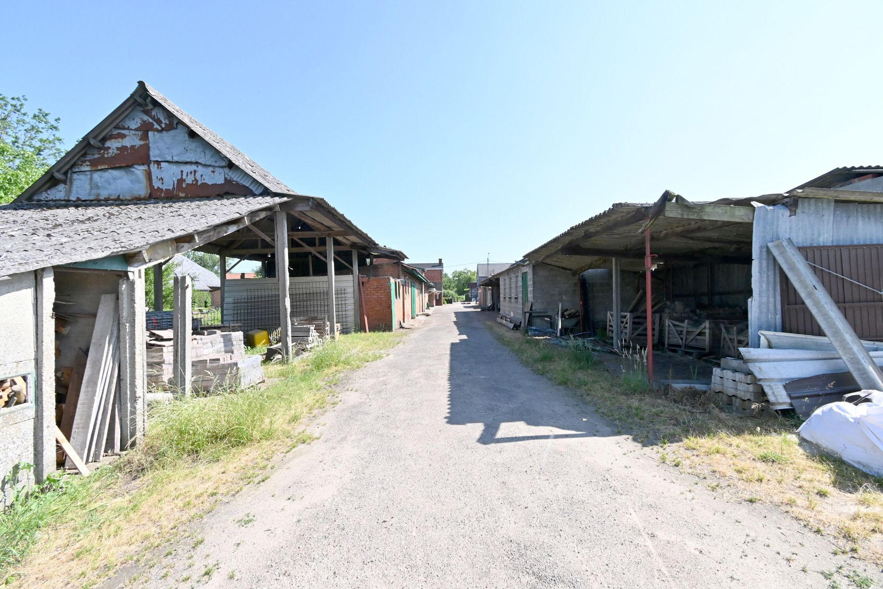 WONING MET AANPALENDE WEIDE EN VERSCHILLENDE BIJGEBOUWEN foto 4