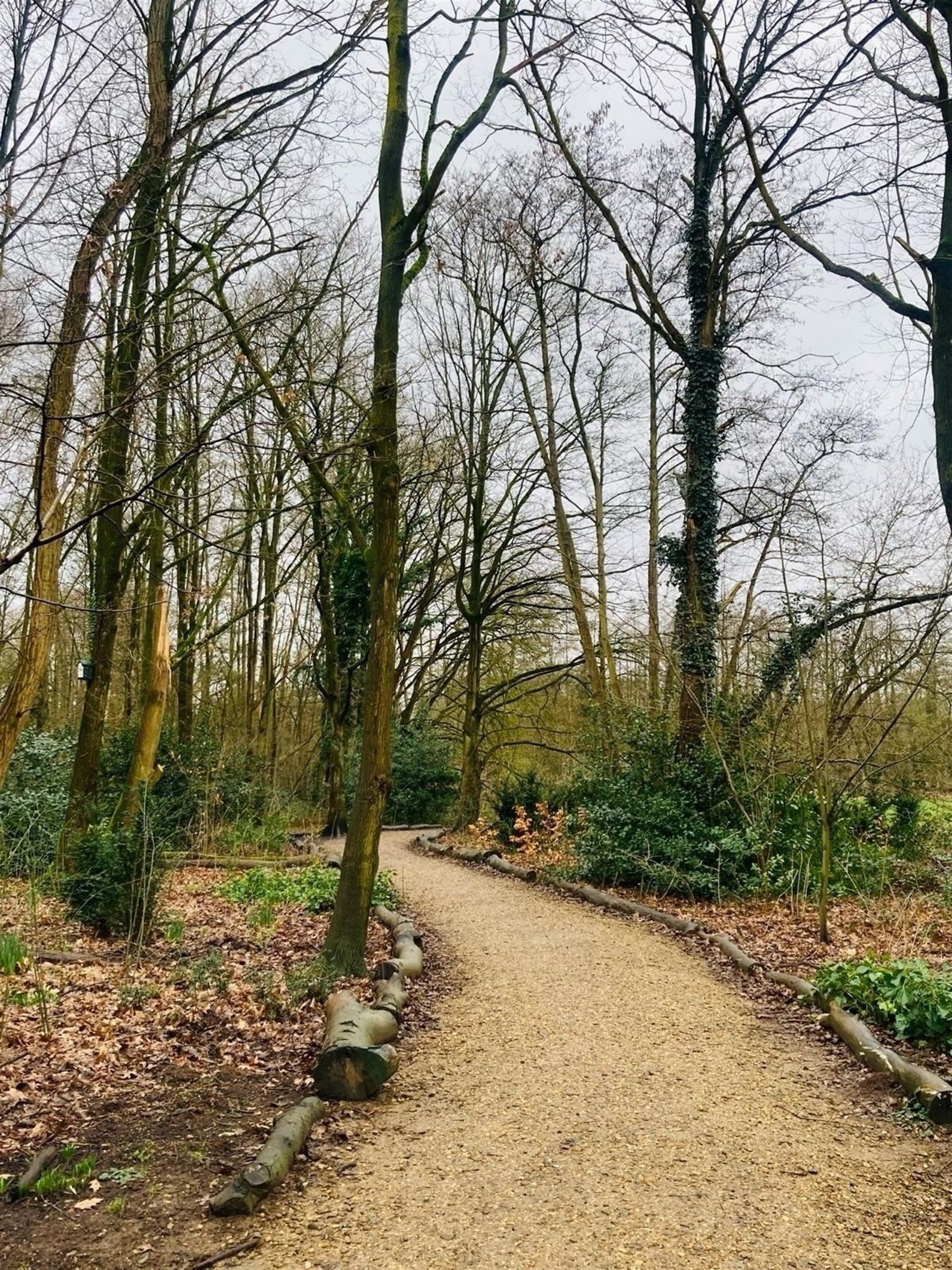 Nieuwbouw gelijkvloers 1 SLK met eigen tuin in hartje Mariaburg foto 7