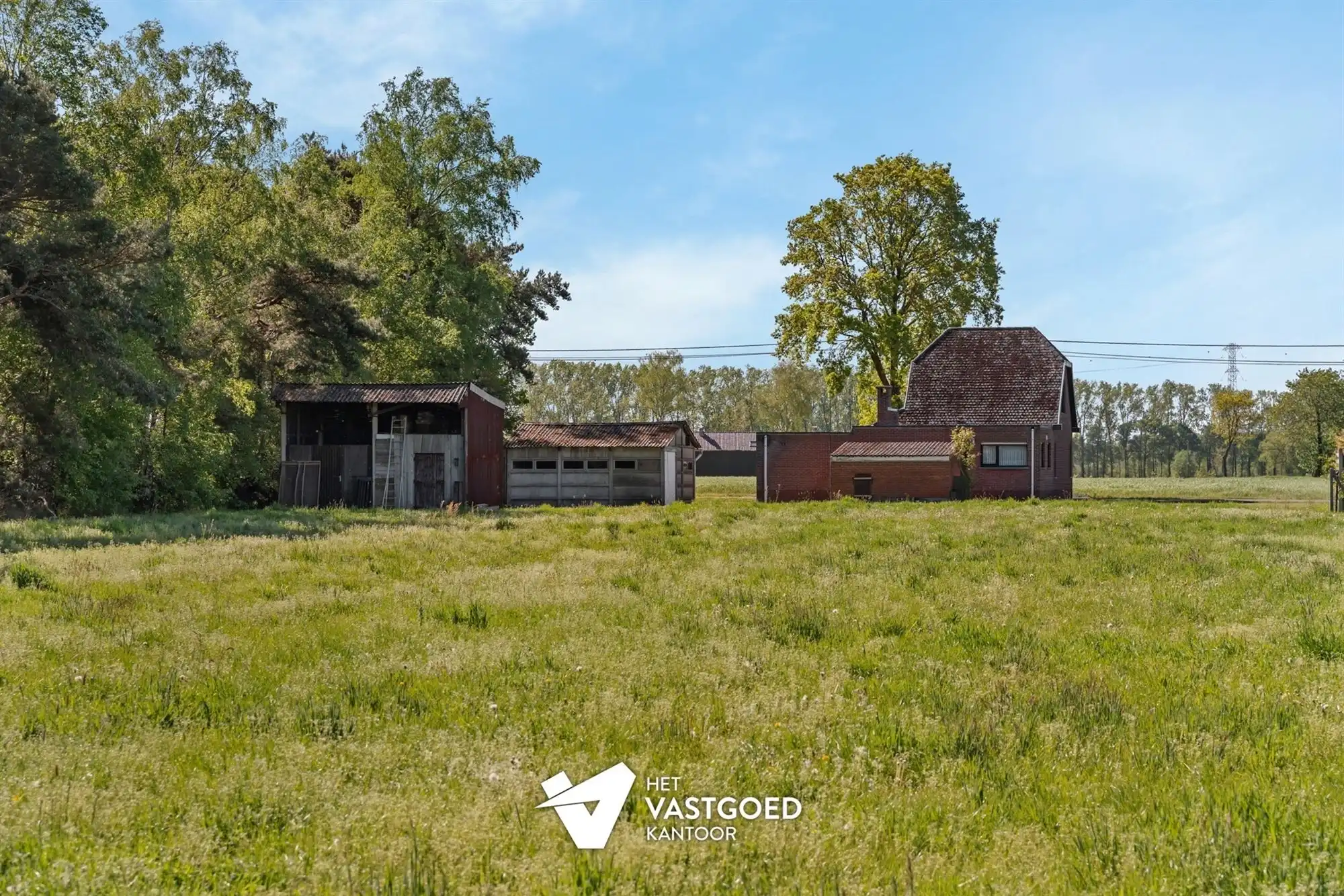 PRACHTIG GELEGEN WONING OP CA 1 HECTARE foto 20