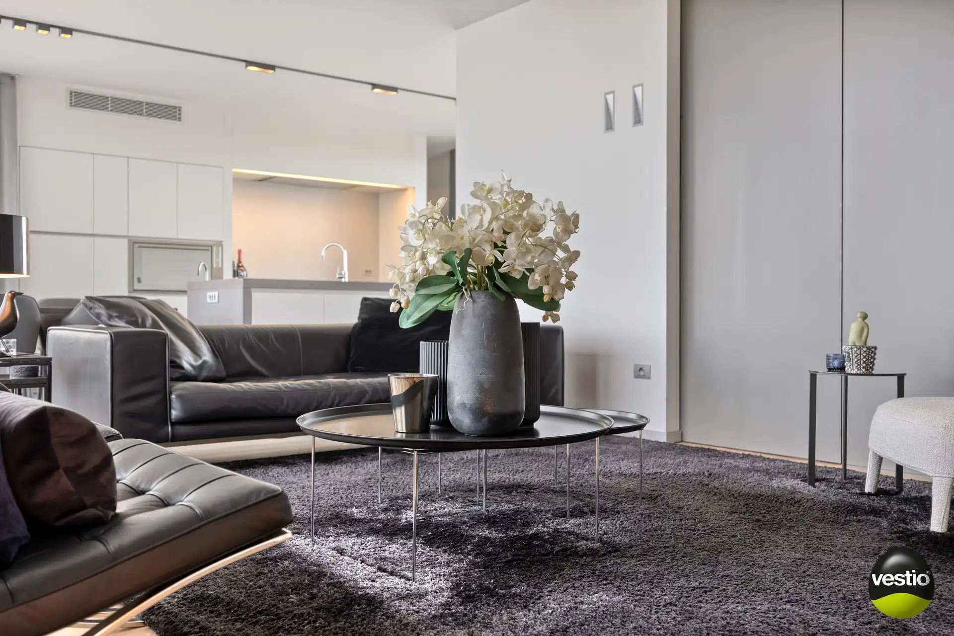 EXCLUSIEF PENTHOUSE OP 2 MIN VAN BILZEN CENTRUM foto 14