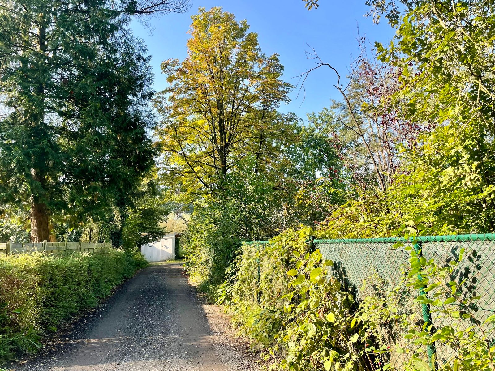 Charmante vakantiewoning te Herselt. foto 15