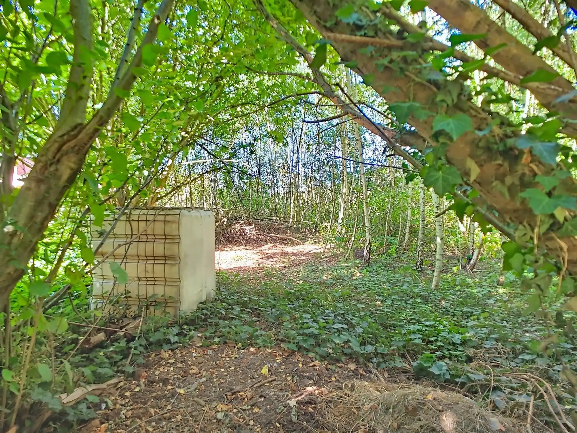 Te renoveren halfopen bebouwing met garage en ruime tuin foto 15