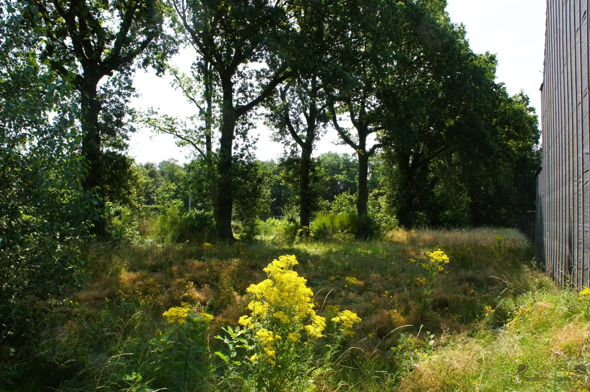 Bouwgrond van 683 m² voor halfopen bebouwing te Oostmalle foto 3