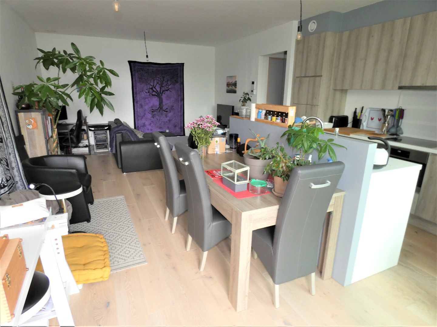 Energiezuinig appartement met 2 slp, zalig zonneterras en garage te Loppem foto 2