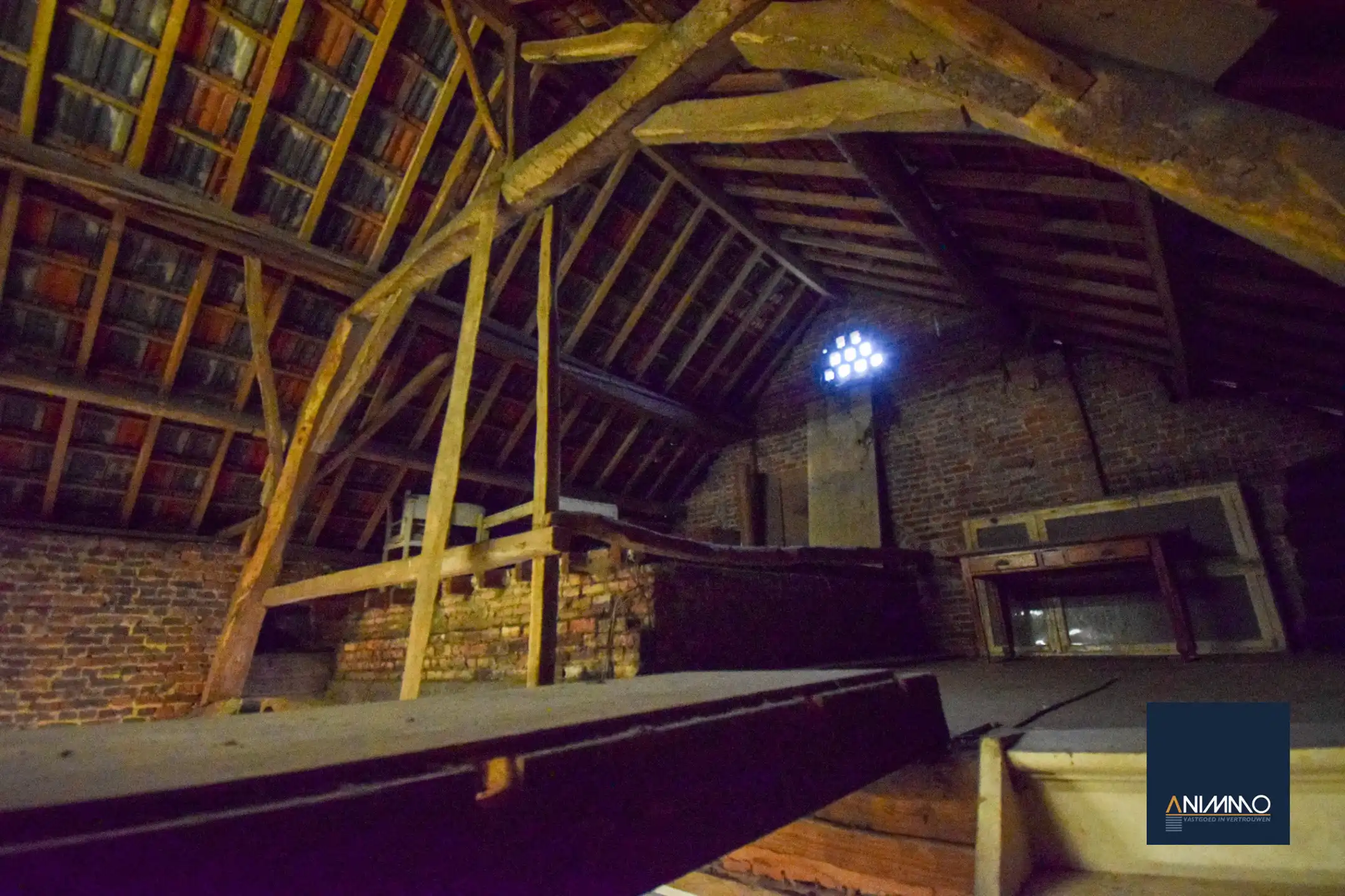 Boerderij te koop foto 45