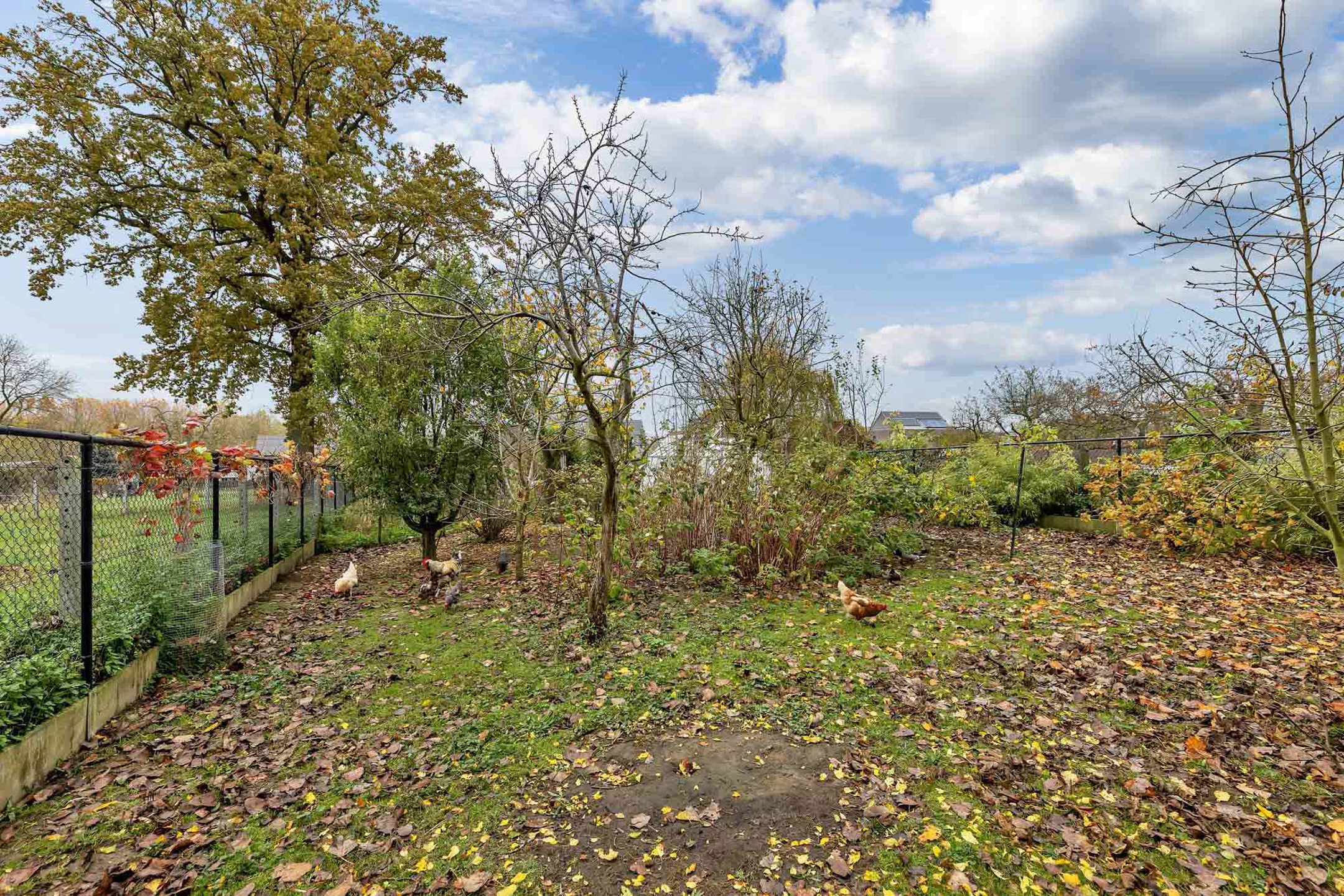 Projectgrond of totale renovatie met idyllisch uitzicht foto 6