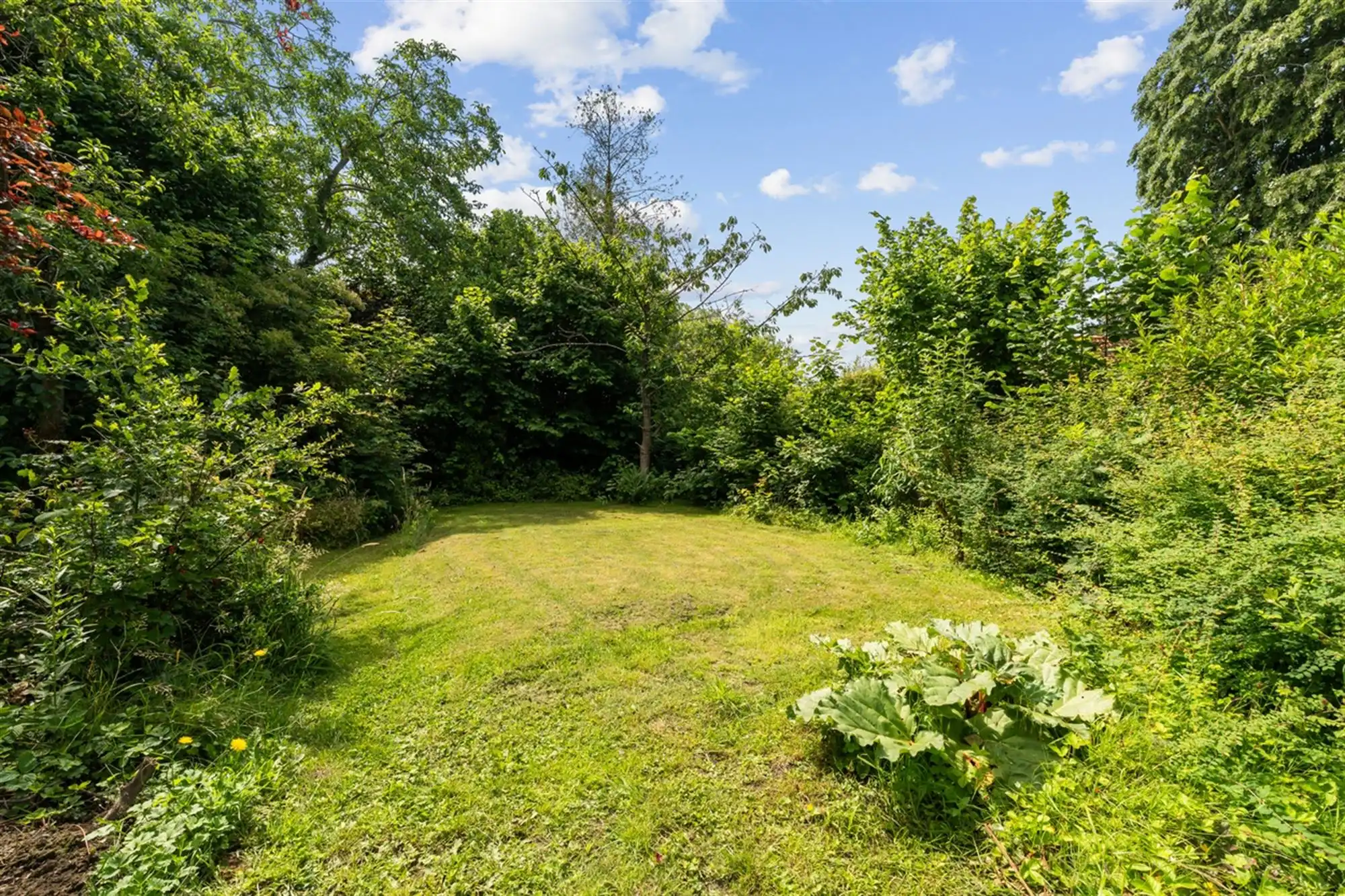 KARAKTERVOLLE WONING met 4 slaapkamers, garage & tuin op een perceel van ca. 811m² foto 31
