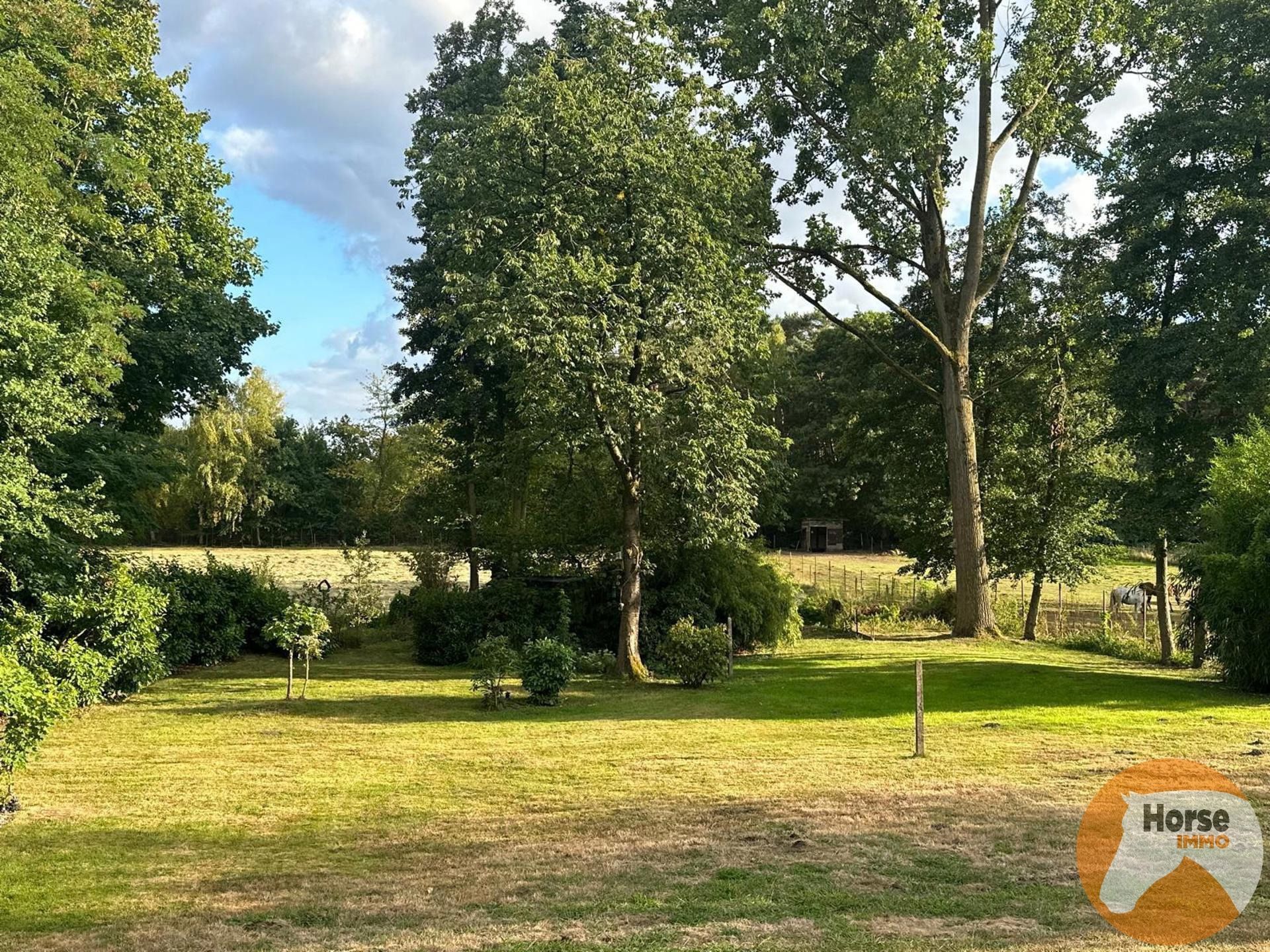 HELCHTEREN - Rustig gelegen cottage op 1ha24 foto 5