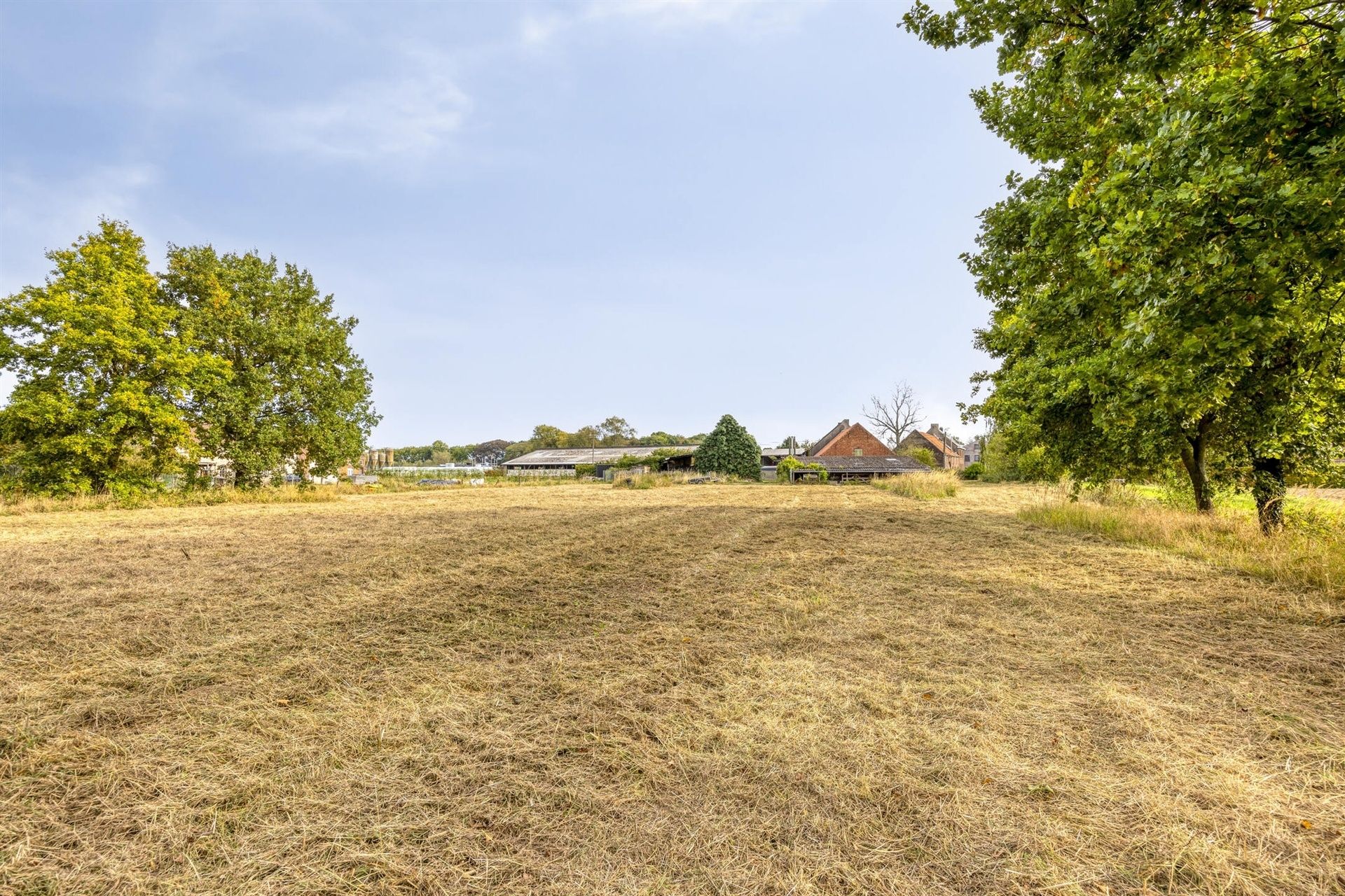Volledig te renoveren hoeve foto 10