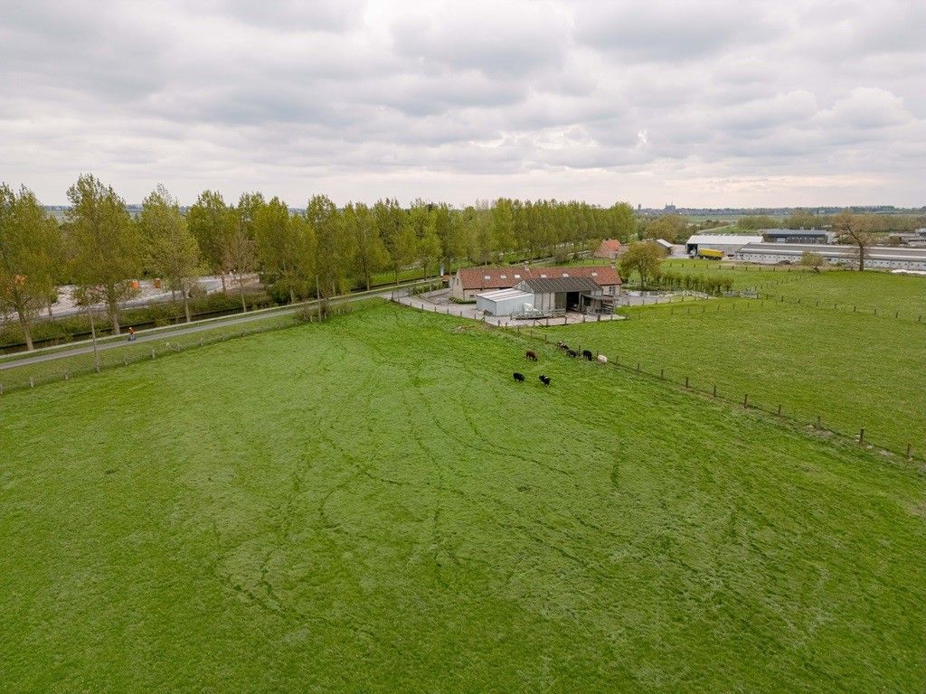 WULPEN: Subliem gelegen landgoed/hoeve bestaande uit riante villawoonst (6 slpks), loods van ruim 200m² op 1,14 ha totale grondopp. (mog. 2,43 ha extra grond). foto 2