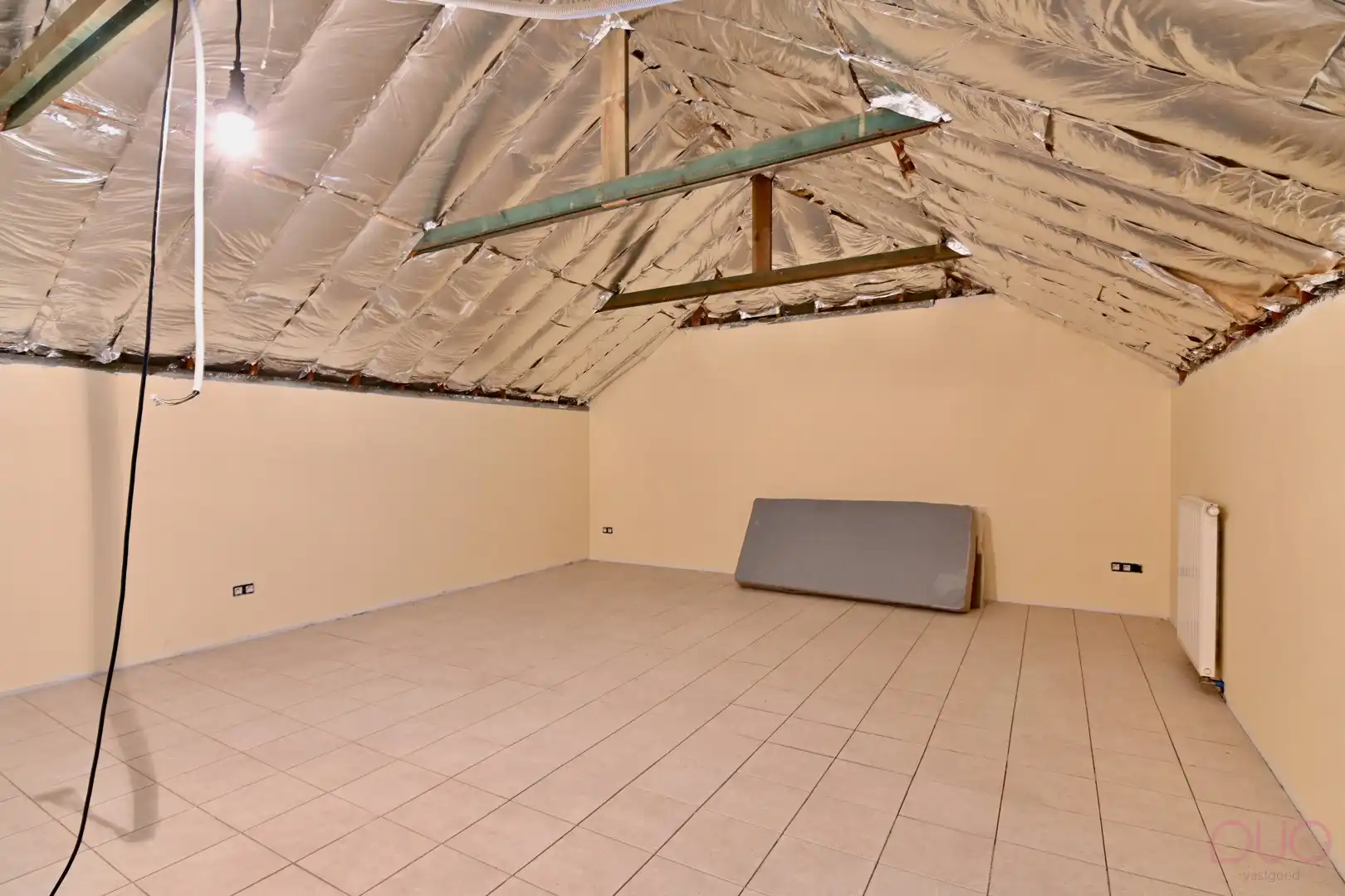 Instapklaar handelspand met bovenliggende woonst omgeven door groen op toplocatie tussen Sint-Truiden en Hasselt foto 12