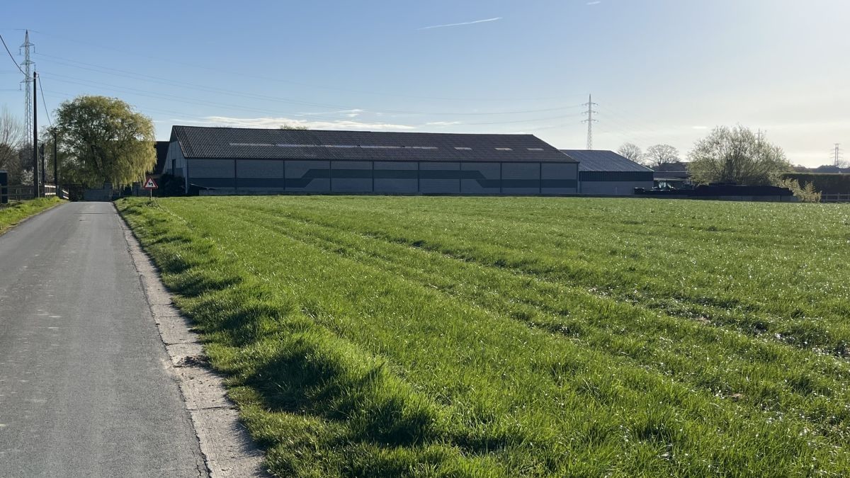 Prachtige hoeve te koop te Bavikhove foto 10