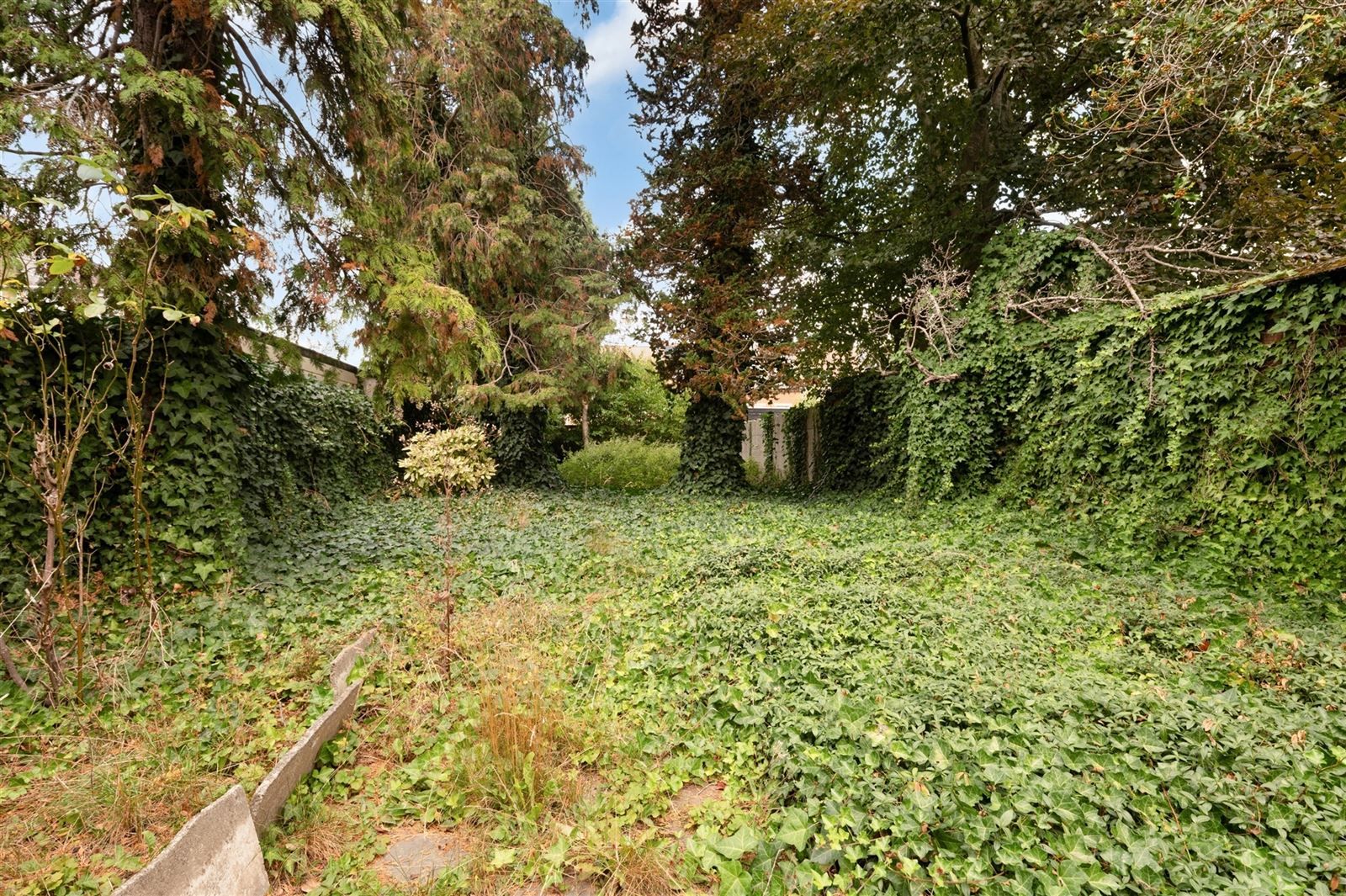 karaktervolle woning met handelsruimte in hartje Zottegem! foto 4