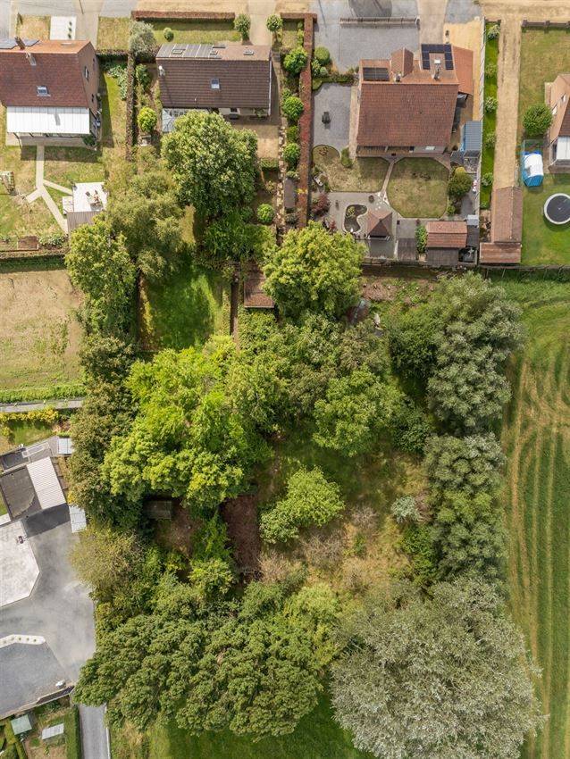 gerenoveerd, 4 slkp, label B, topligging foto 32