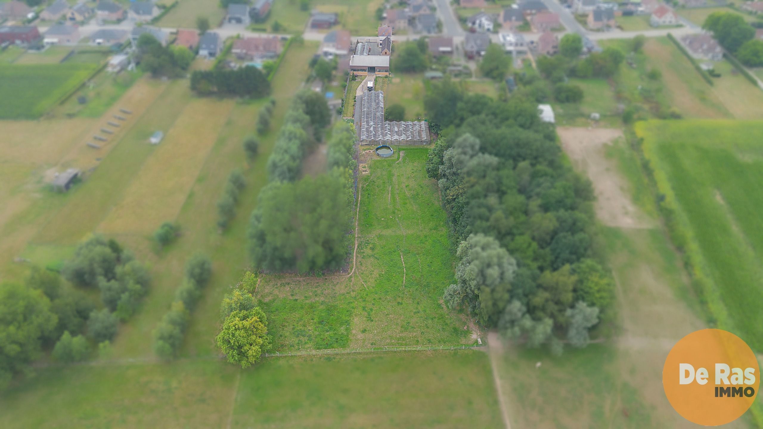 ERPE-MERE - Goed onderhouden woning met magazijn en serres foto 2