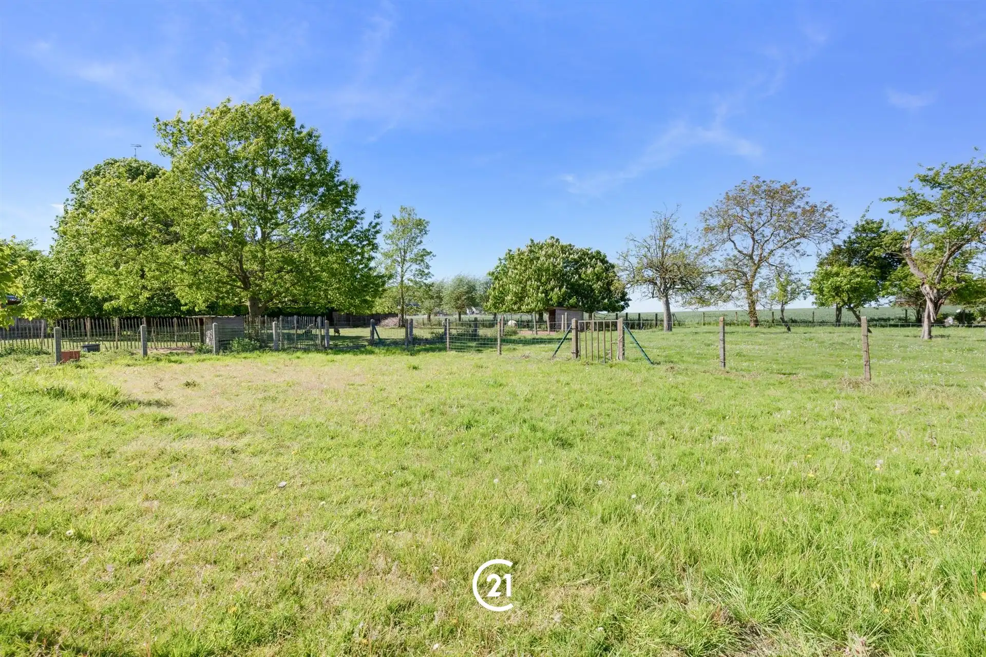 Te renoveren boerderij op ruim perceel in Kluisbergen foto 7