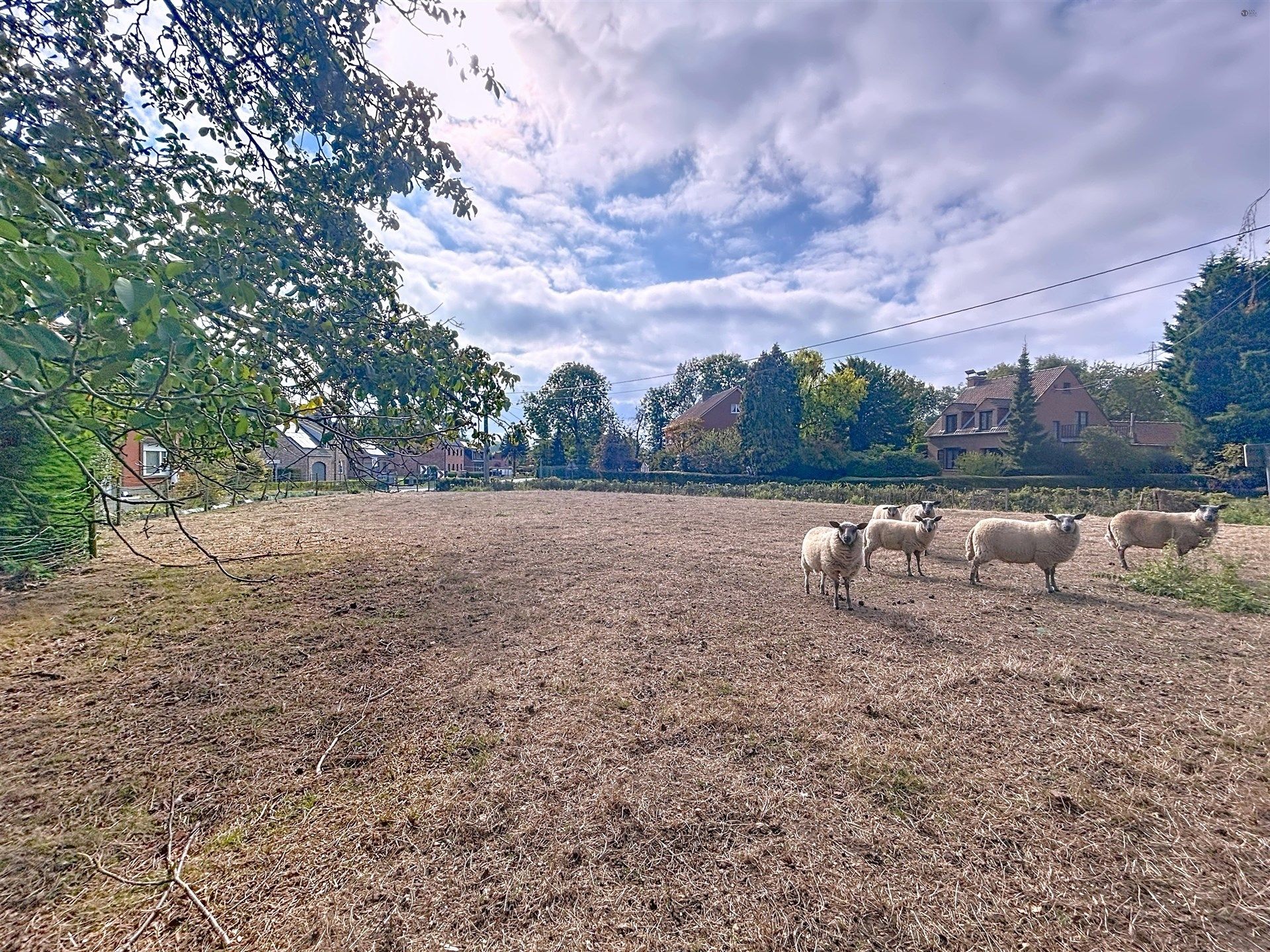 charmante hoeve op perceel van 2515 m² foto 16